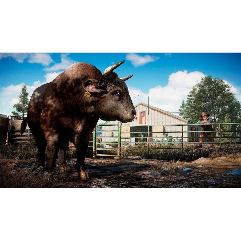 UBISOFT Spielesoftware »Far Cry 5«, PC