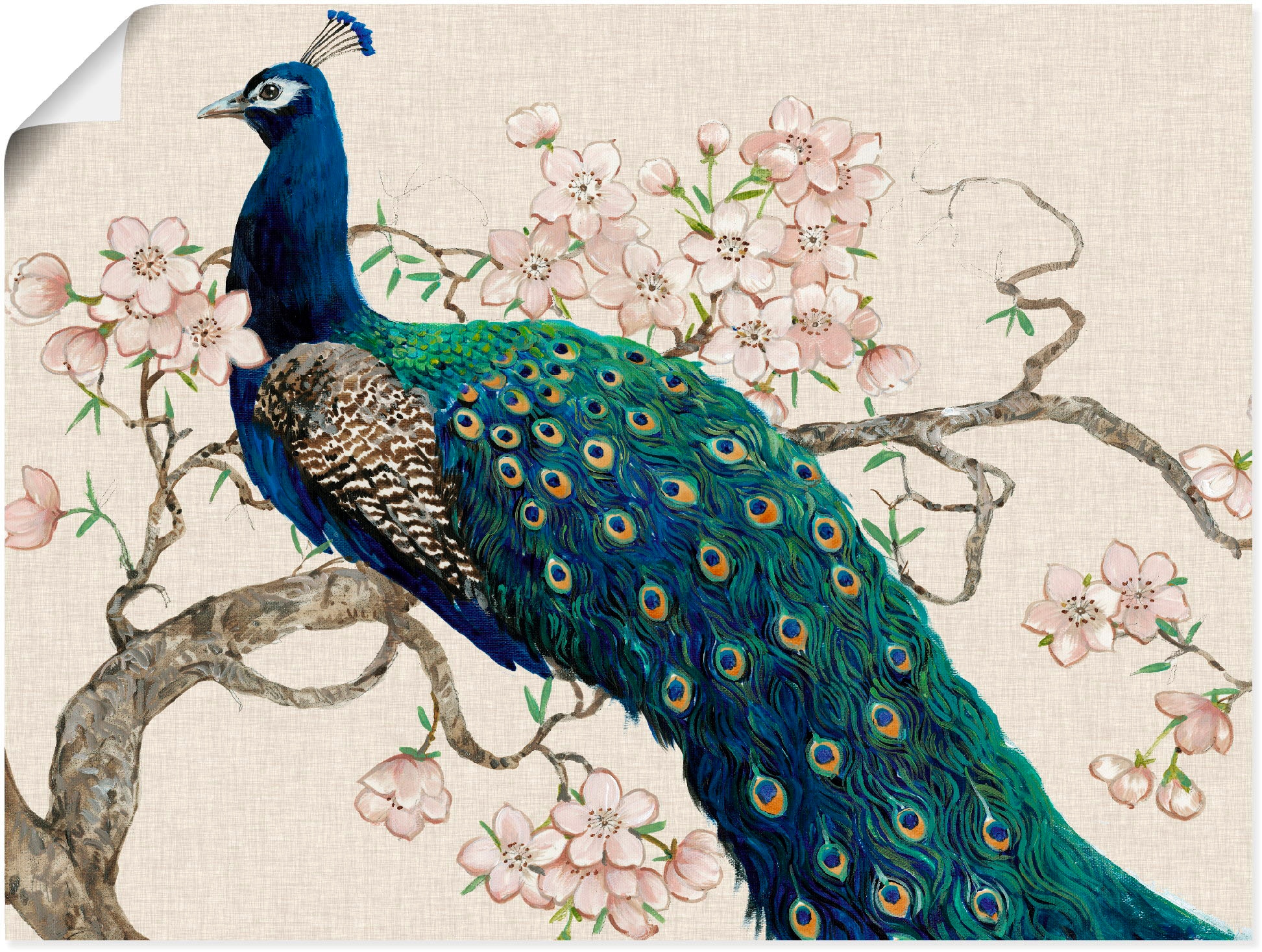 Artland Wandbild »Pfau & Blüten II«, Vögel, (1 St.), als Alubild,  Leinwandbild, Wandaufkleber oder Poster in versch. Größen kaufen | BAUR