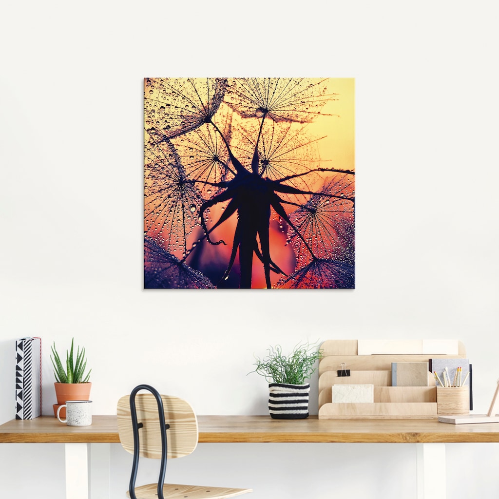 Artland Glasbild »Pusteblume im Sonnenuntergang«, Blumen, (1 St.)