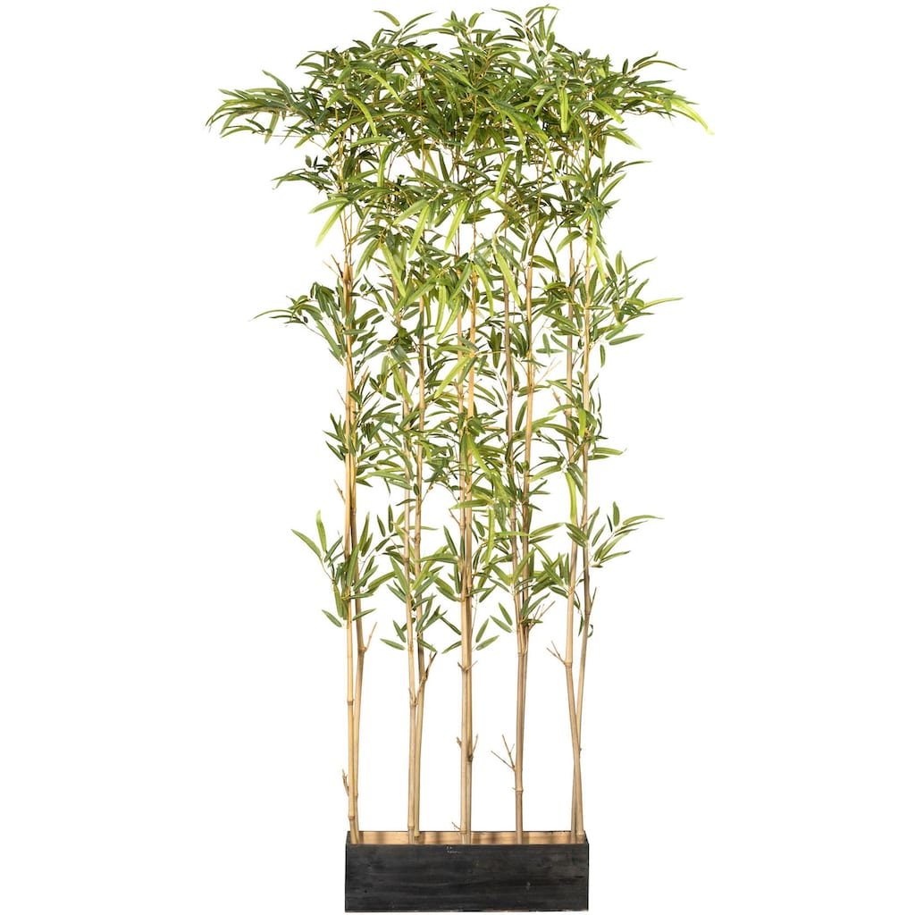 Creativ green Künstliche Zimmerpflanze »Bambusraumteiler«