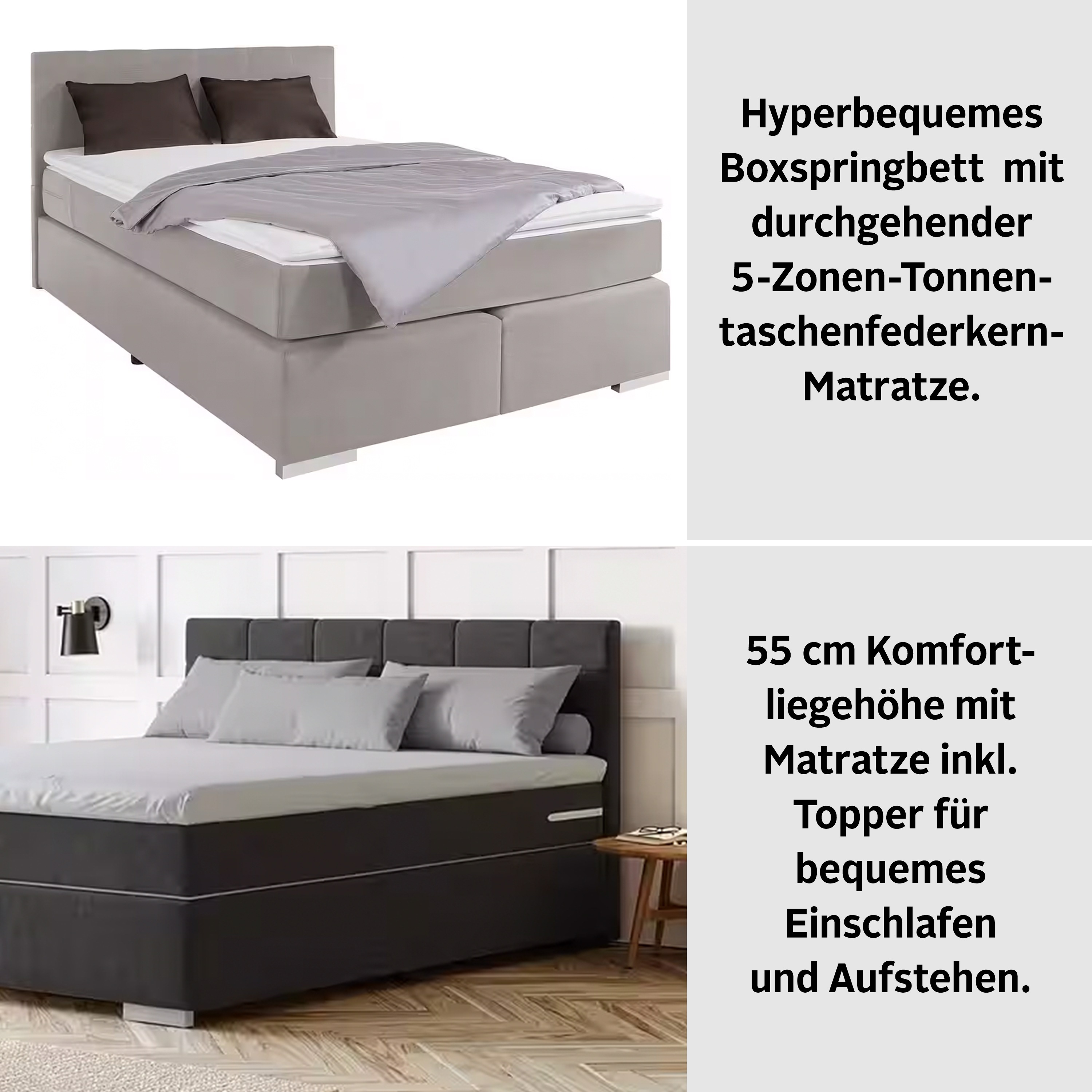 Thumbnail - COTTA Boxspringbett Simba, wahlweise mit oder ohne Matratze und Topper