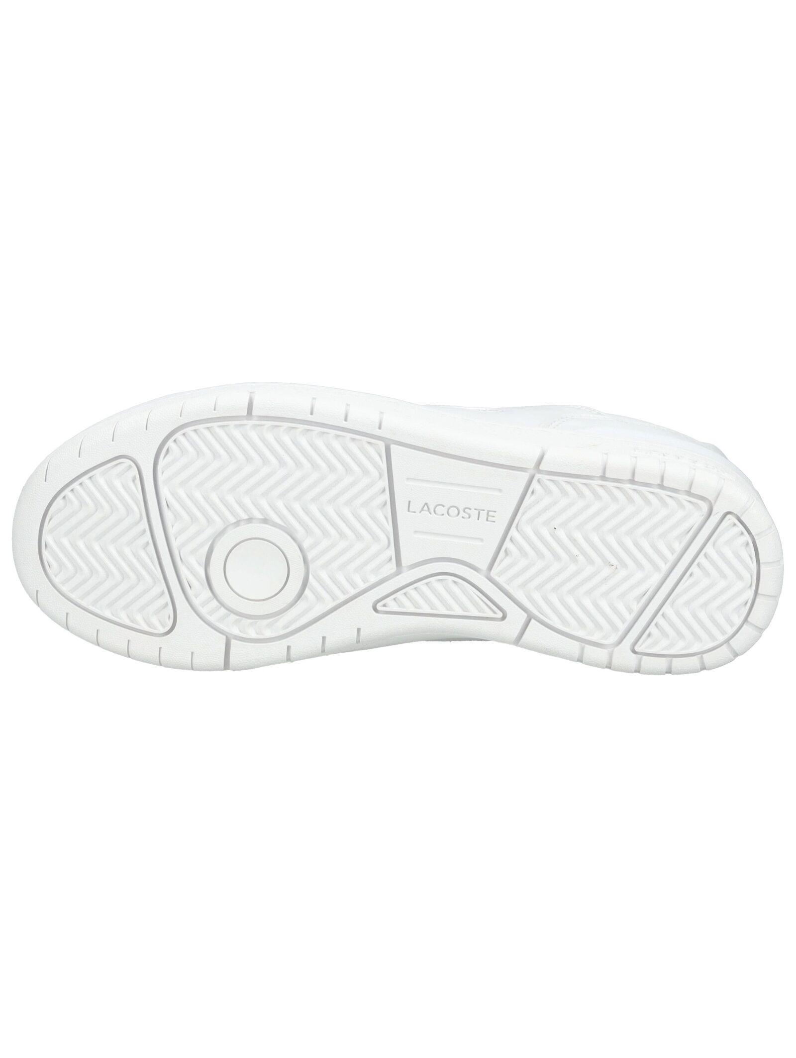 Lacoste Sneaker »lacoste Sneaker Leder«