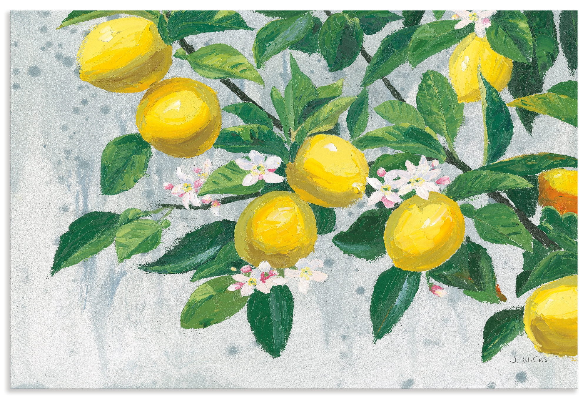 Artland Wandbild "Zesty Lemons" Baumbilder 1 Stk. tlg. als Alubild, Leinwandbild, Poster, Wandaufkleber in verschied. Größen