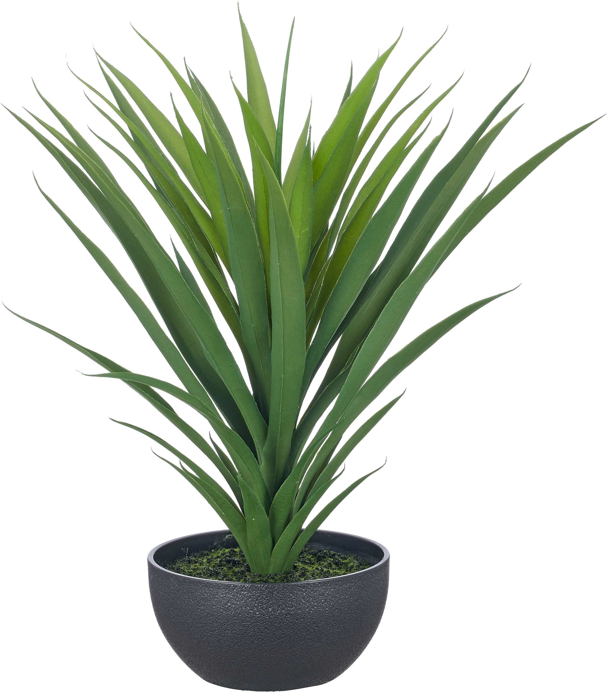 Creativ green Kunstpflanze "Yucca filamentosa" mit naturgetreuem Blattwerk