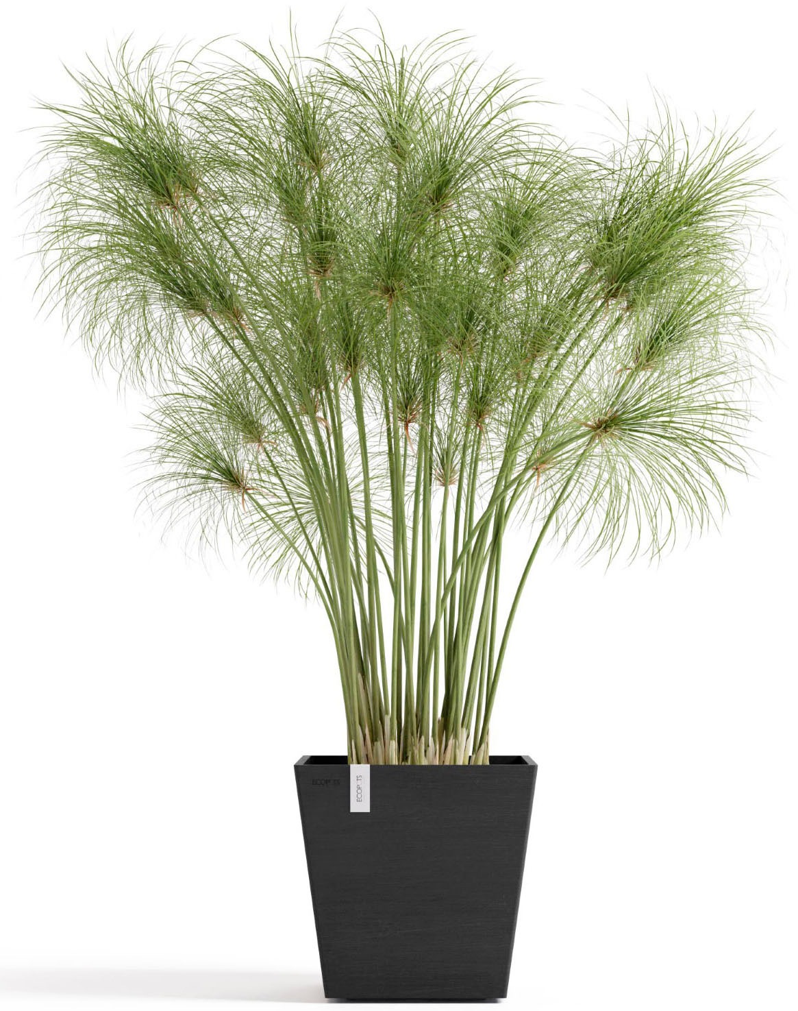 ECOPOTS Blumentopf »Rotterdam 25 + Wassersystem Dunkelgrau« für innen und außen: frostsicher, bruchsicher und lichtbeständig