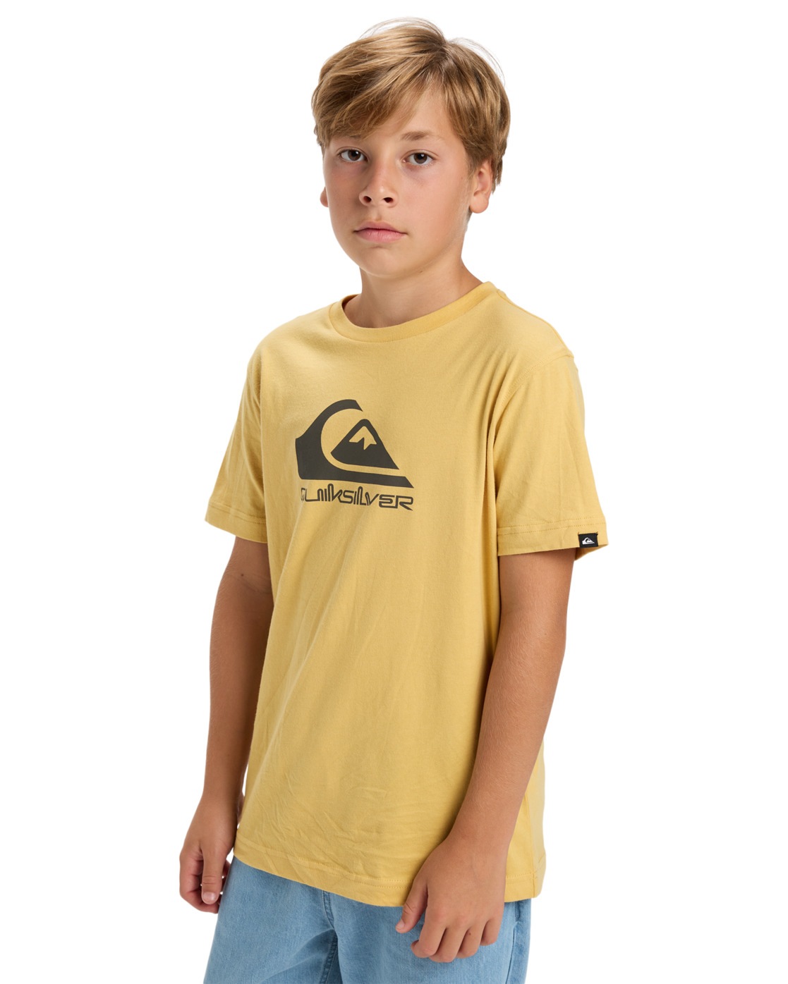 Quiksilver T-Shirt »Ev Comp Logo«