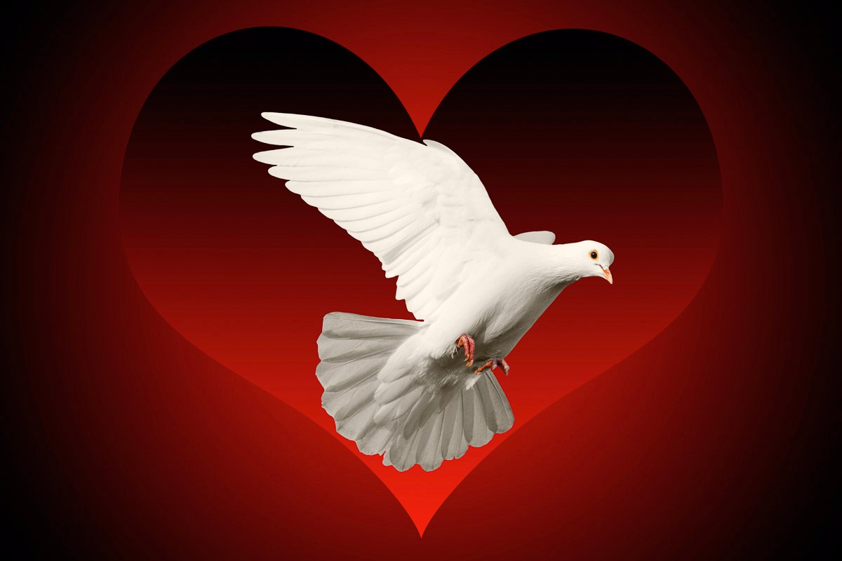 Papermoon Fototapete »Vogel mit Herz«