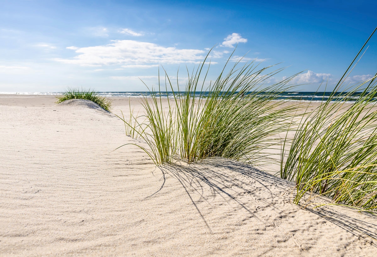 Papermoon Fototapete "DÜNEN-NATUR NORD SEE SAND STRAND MEER WÜSTE LANDSCHAFT"