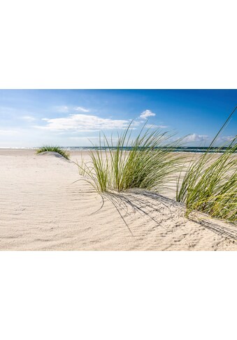 Papermoon Fototapetas »DÜNEN-NATUR NORD SEE rusv...