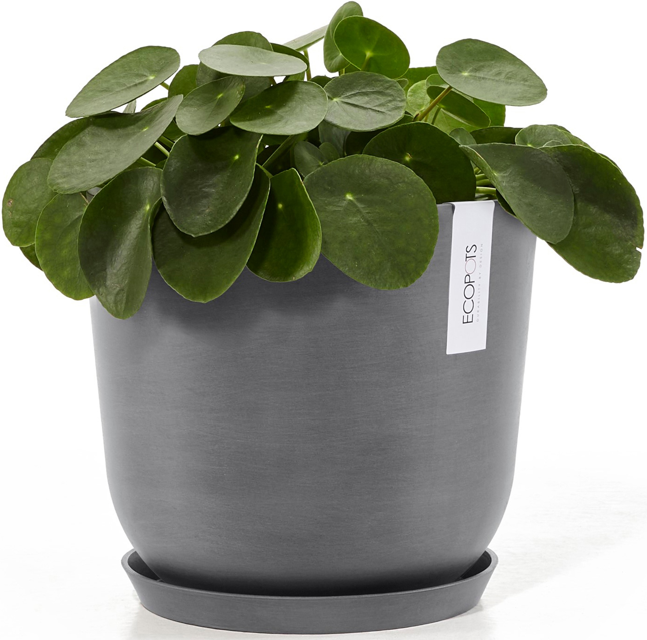 ECOPOTS Blumentopf »Oslo 25 + Wassersystem Grau«, für innen und außen: frostsicher, bruchsicher und lichtbeständig