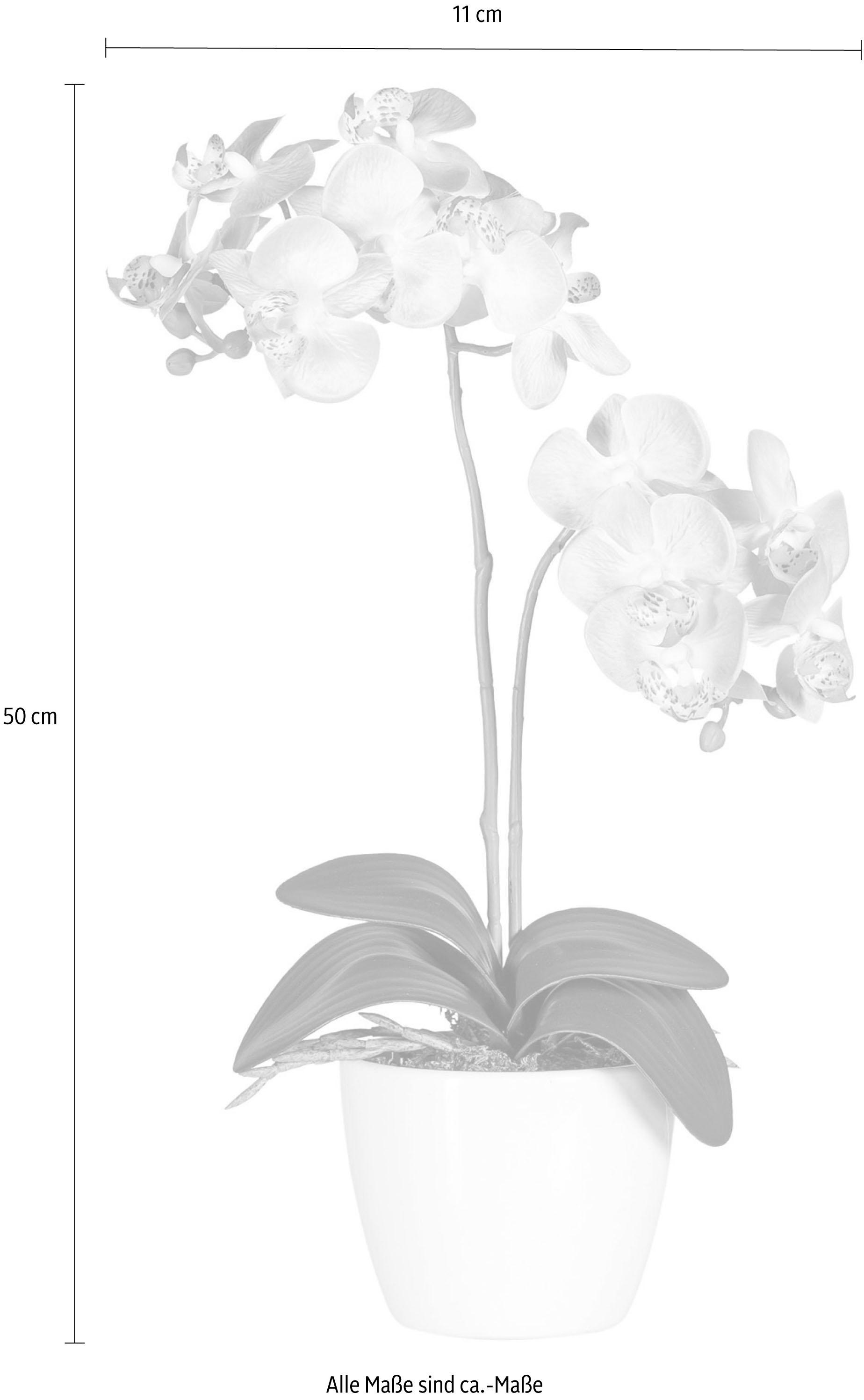 Thumbnail - Creativ green Kunstpflanze "Phalaenopsis"