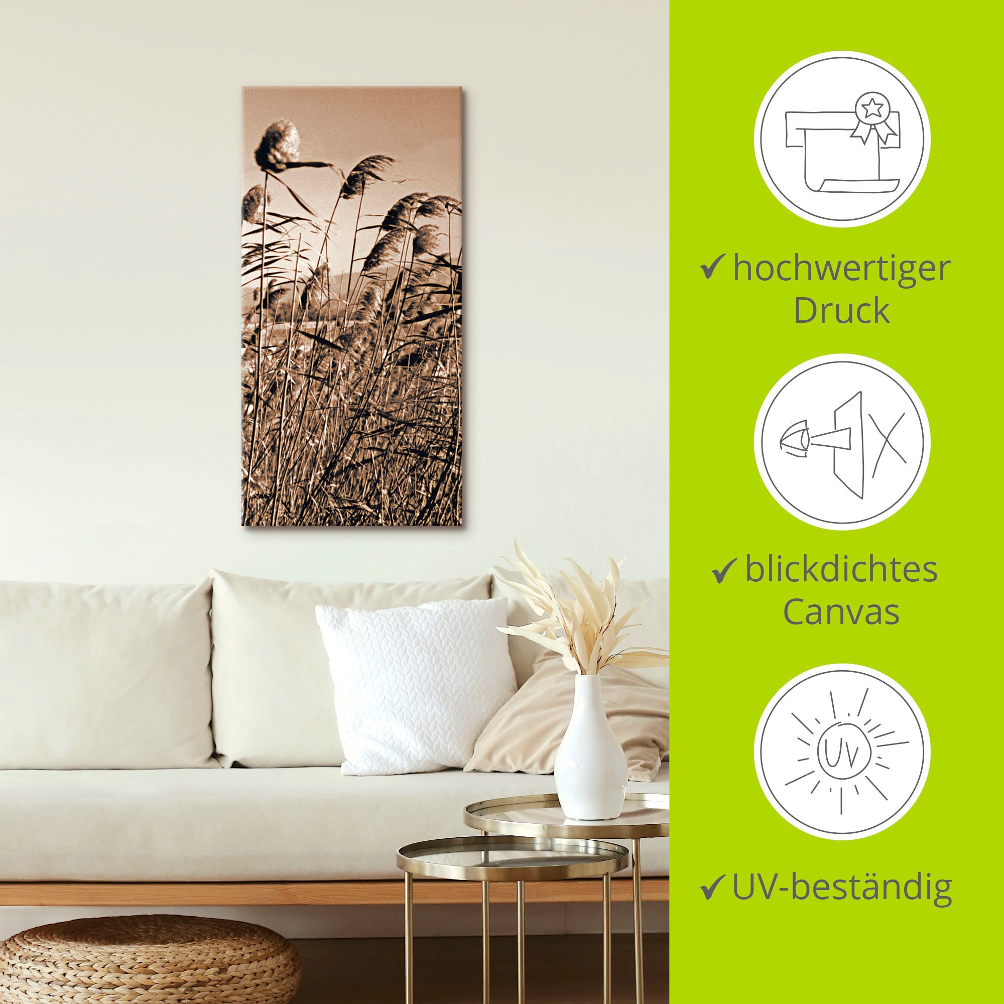Artland Wandbild »Sepia Gräser II«, Gräser, (1 St.), als Leinwandbild in verschied. Größen