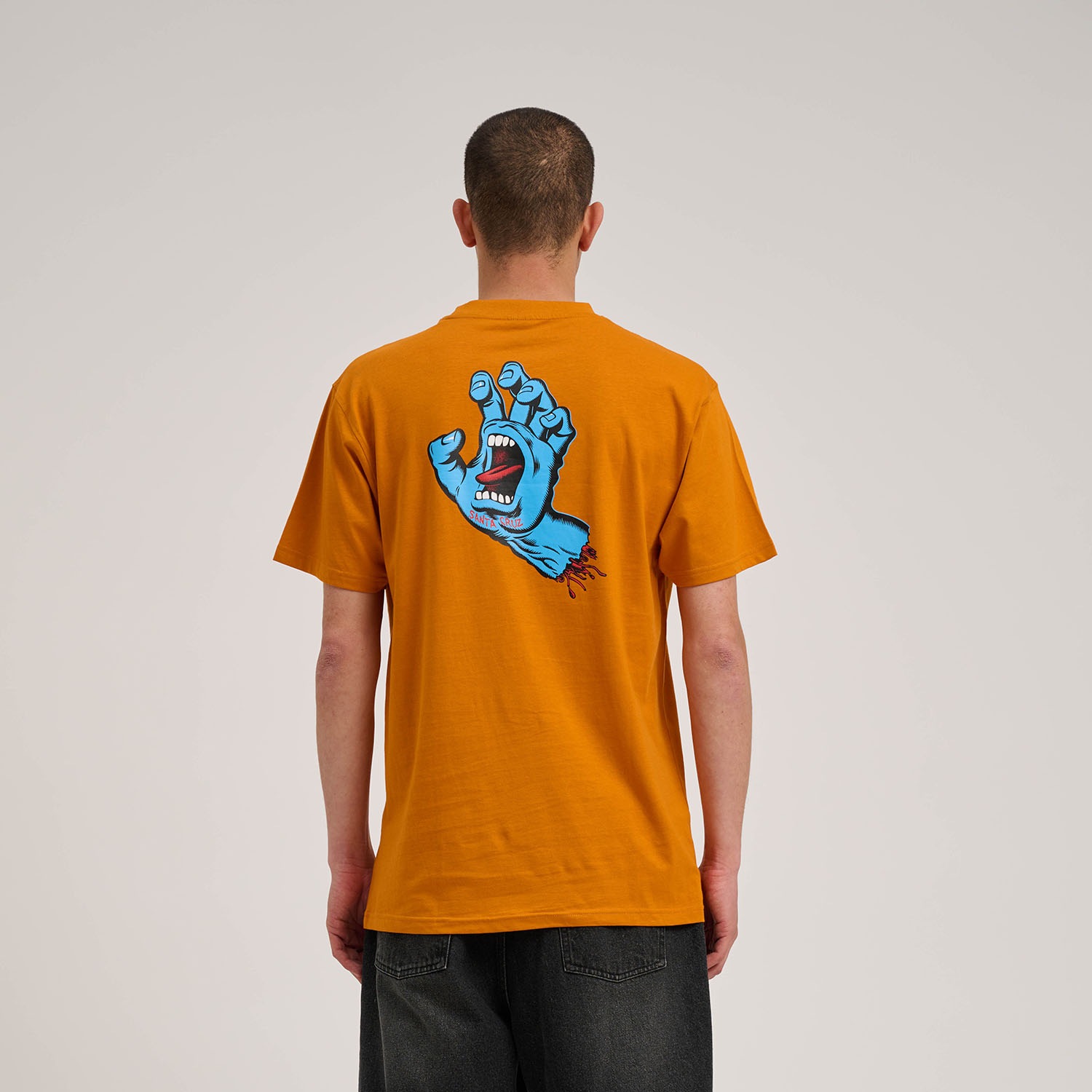 Santa Cruz T-Shirt "WOODLAND MINI STRIP FRONT T-SHIRT", (1 tlg.) günstig online kaufen