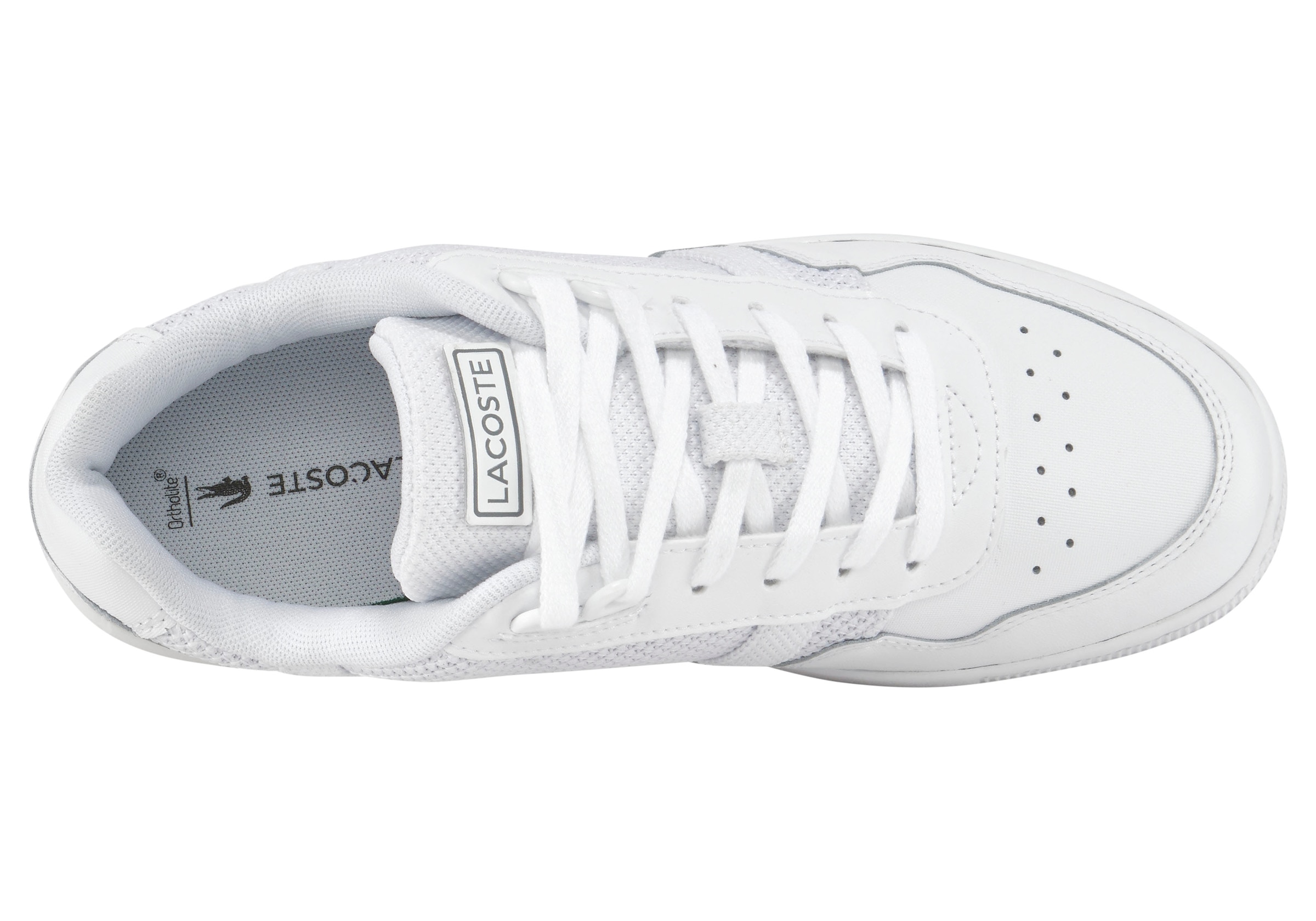 Lacoste Sneaker »T-CLIP 123 10 SFA« TX6164
