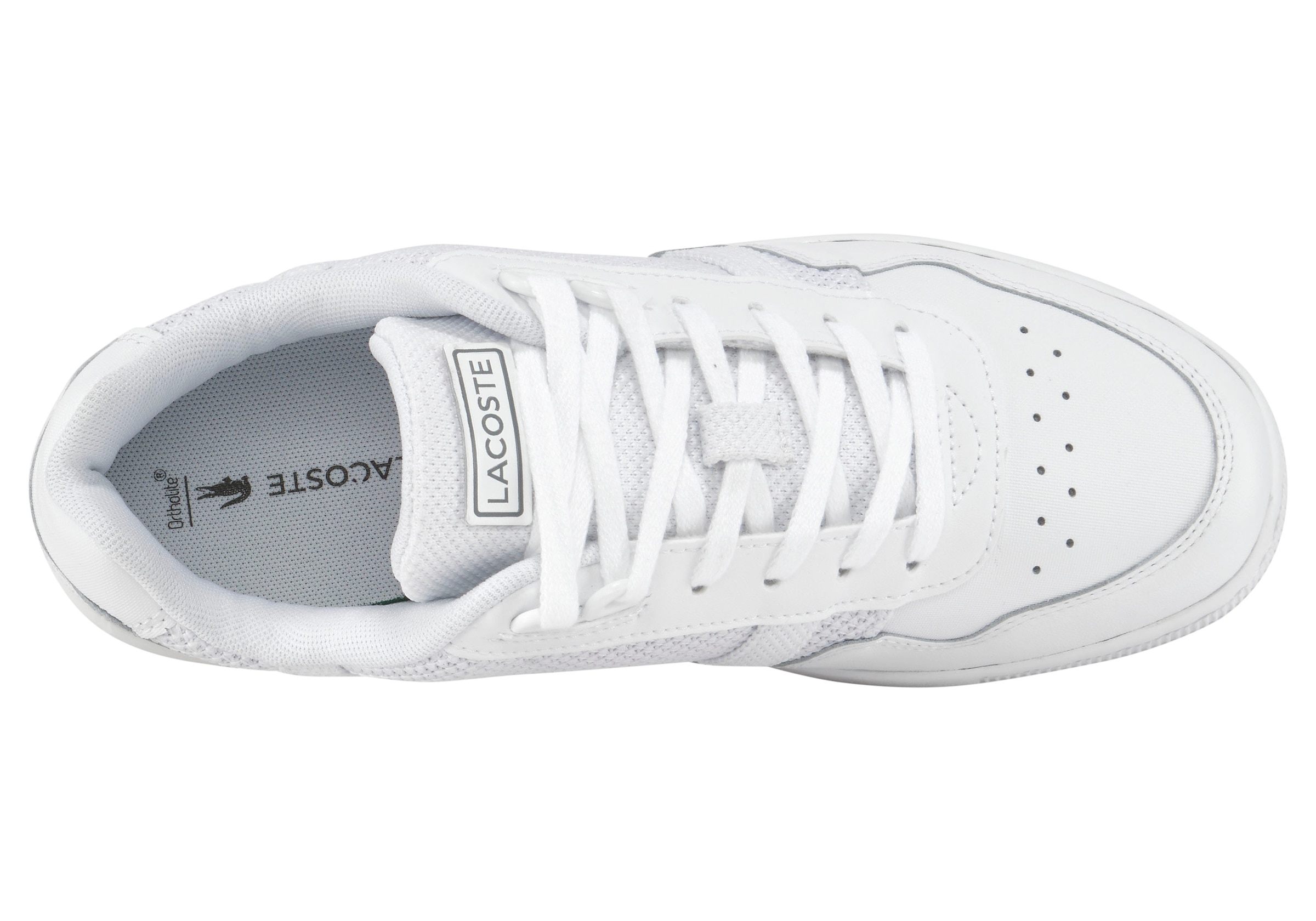 Lacoste Sneaker »T-CLIP 123 10 SFA«