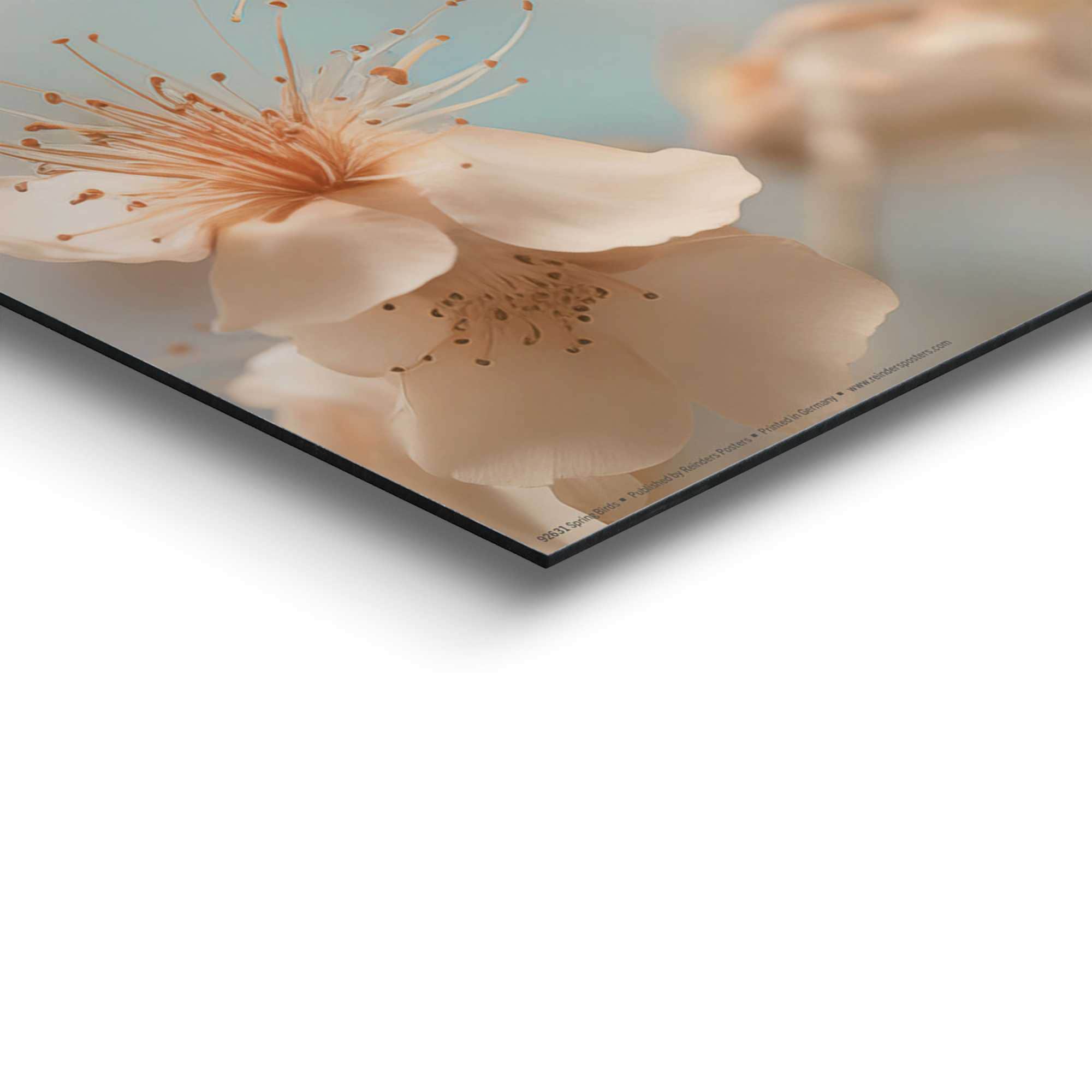 Reinders! Deco-Panel »Spring Birds«