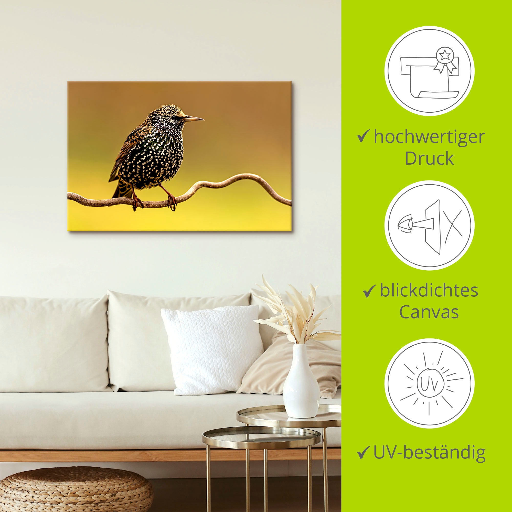 Artland Wandbild »Star«, Vogelbilder, (1 St.), als Leinwandbild, Poster in verschied. Größen