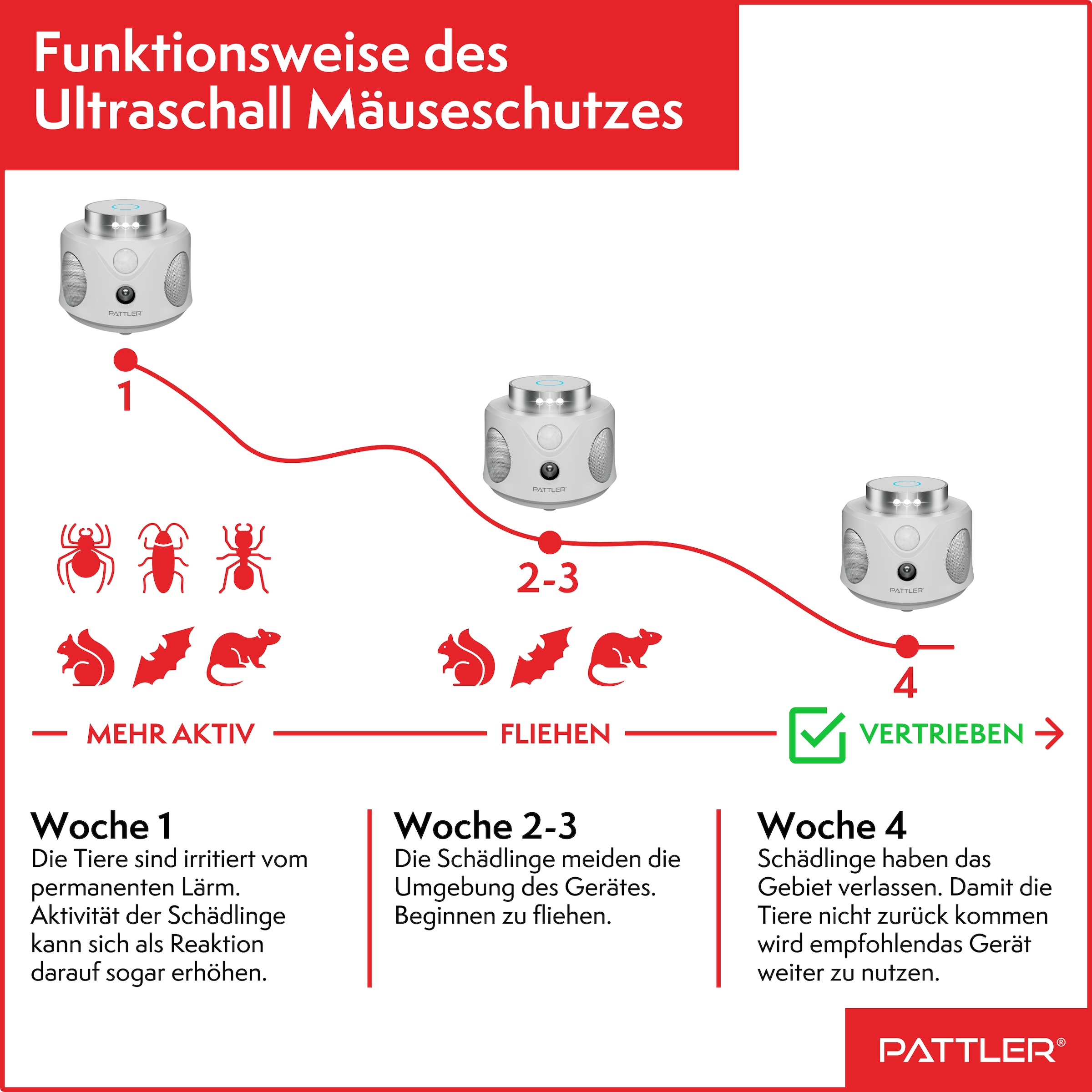 Pattler Ultraschall-Tierabwehr »360° Ultraschall Mäuseabwehr« 2 Geräte