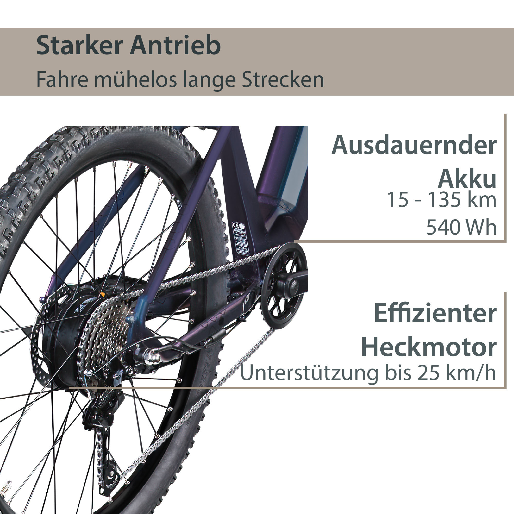 Thumbnail - AGON "Alpha" 10 Gang Deore SGS T6000 Schaltwerk Kettenschaltung Heckmotor 250 W Pedelec, Elektrofahrrad für Damen u. Her...