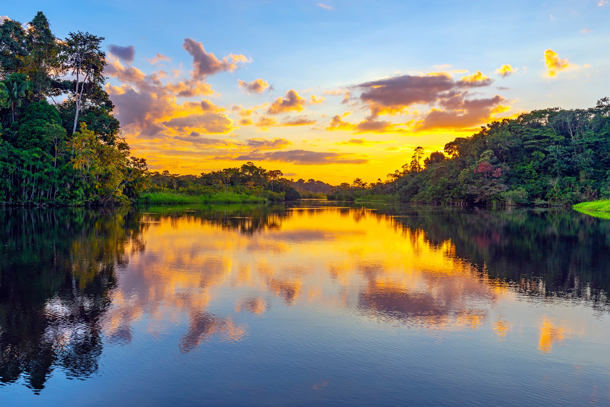 Papermoon Fototapete "REGENWALD-AMAZONAS WALD LAGUNE SONNENMUNTERGANG FLUSS günstig online kaufen