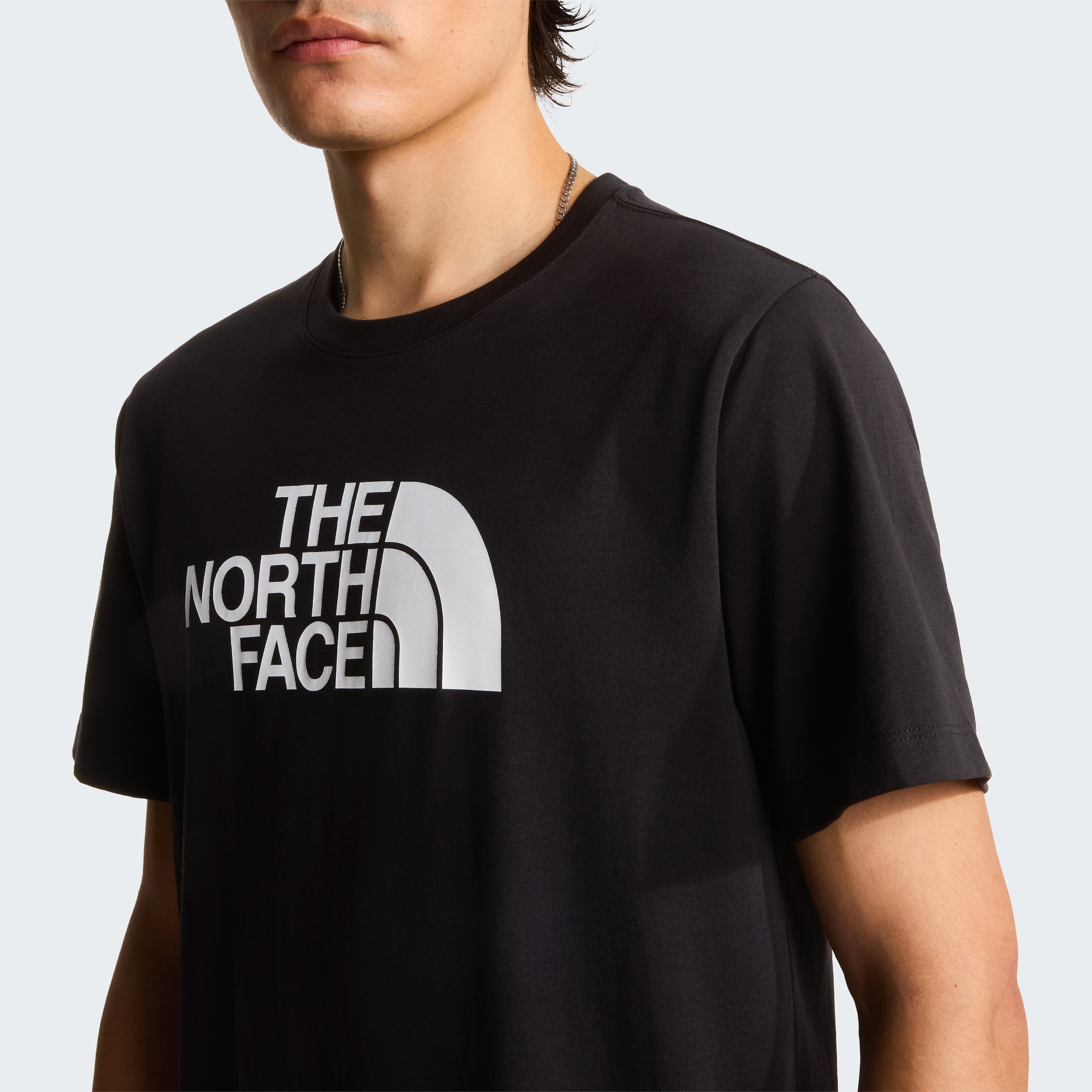 The North Face T-Shirt »M EVOLUTION HALF DOME REGULAR SHORT SLEEVE TEE« sportliche Passform, kurze Ärmel, für Sportmode und Outdoormode
