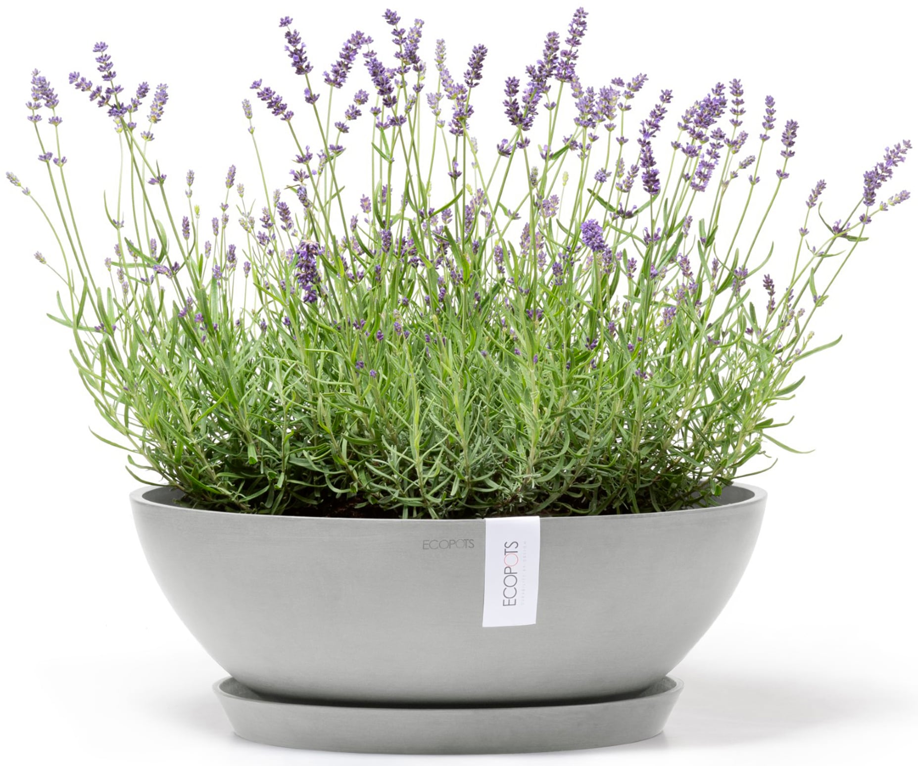 ECOPOTS Blumentopf »Vienna 50 Weißgrau«, für innen und außen: frostsicher, bruchsicher und lichtbeständig