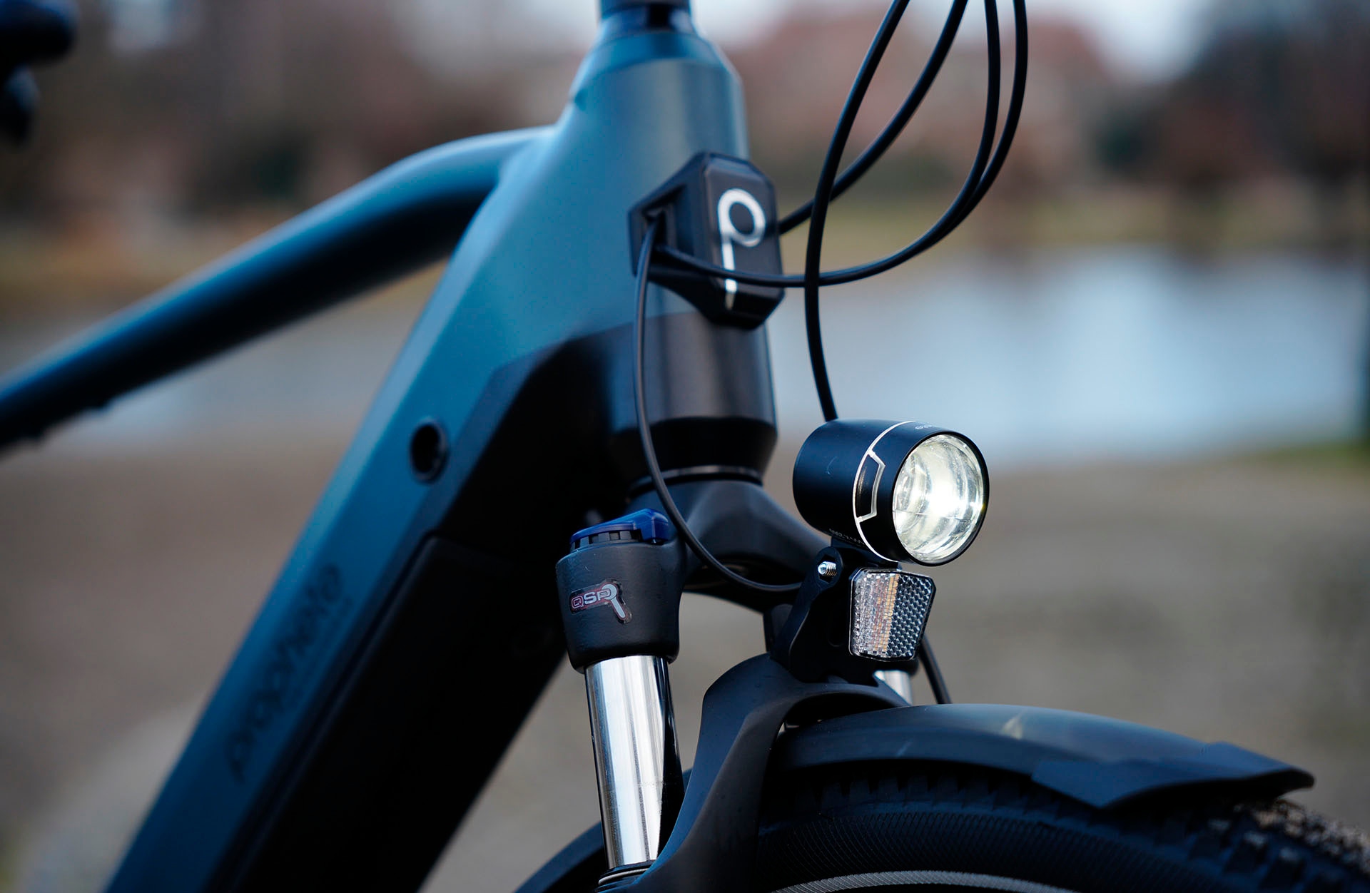 Prophete »Entdecker 4.8« 10 Gang microSHIFT XLE Schaltwerk Kettenschaltung Mittelmotor 250 W