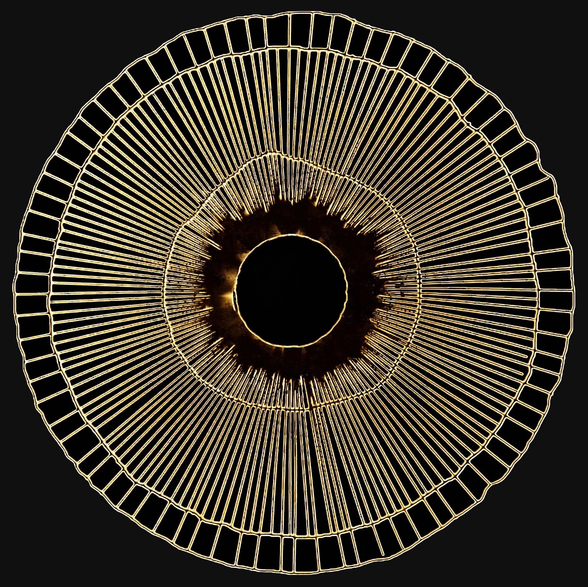 Leinwandbild »Das Auge«, Abstrakt, (1 St.), Akustikbild mit sehr guten...