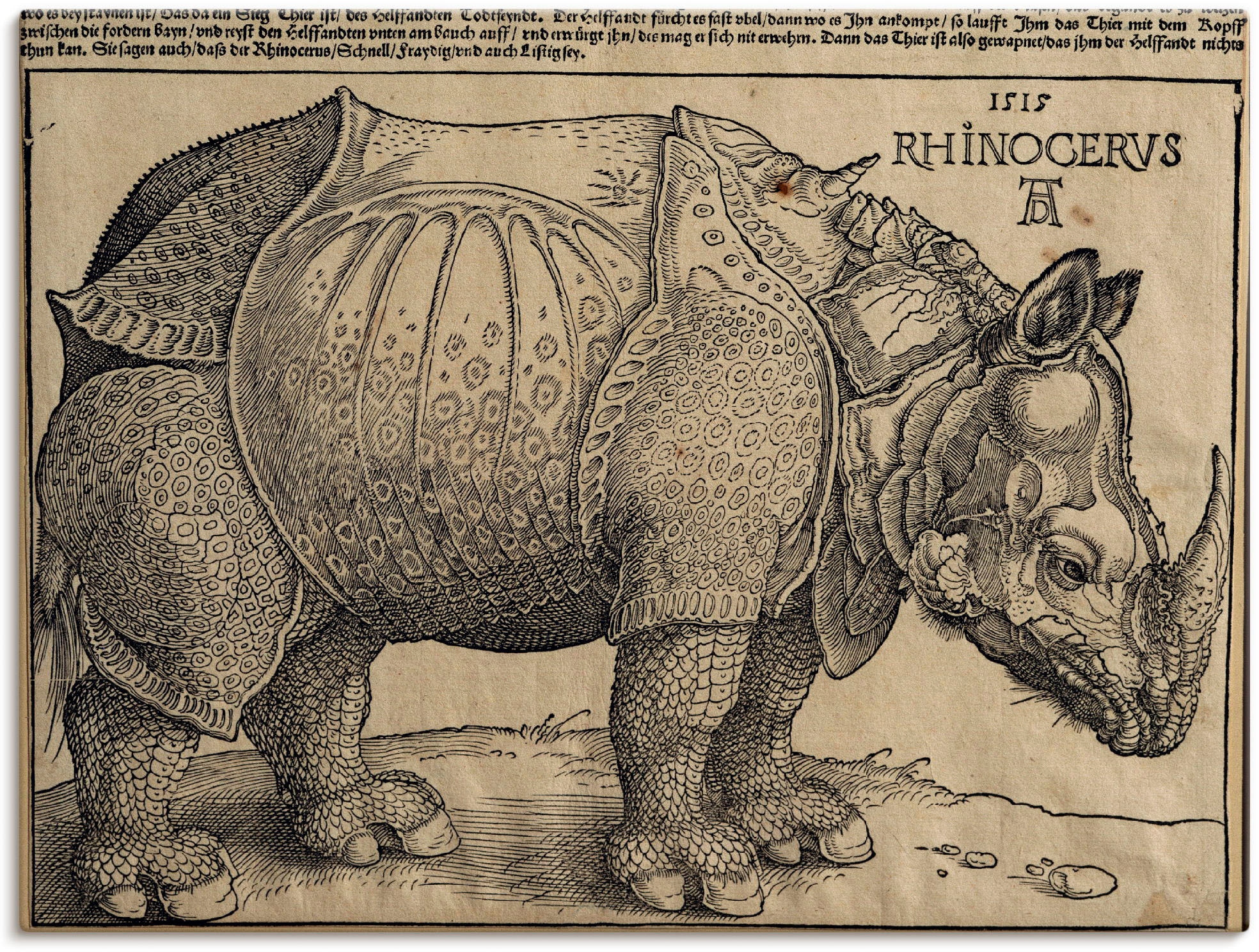 Artland (1 kaufen BAUR 1515. Poster Wildtiere, | Emanuel.«, Für König als in Wandaufkleber Wandbild Größen Leinwandbild, versch. oder »Nashorn. St.),