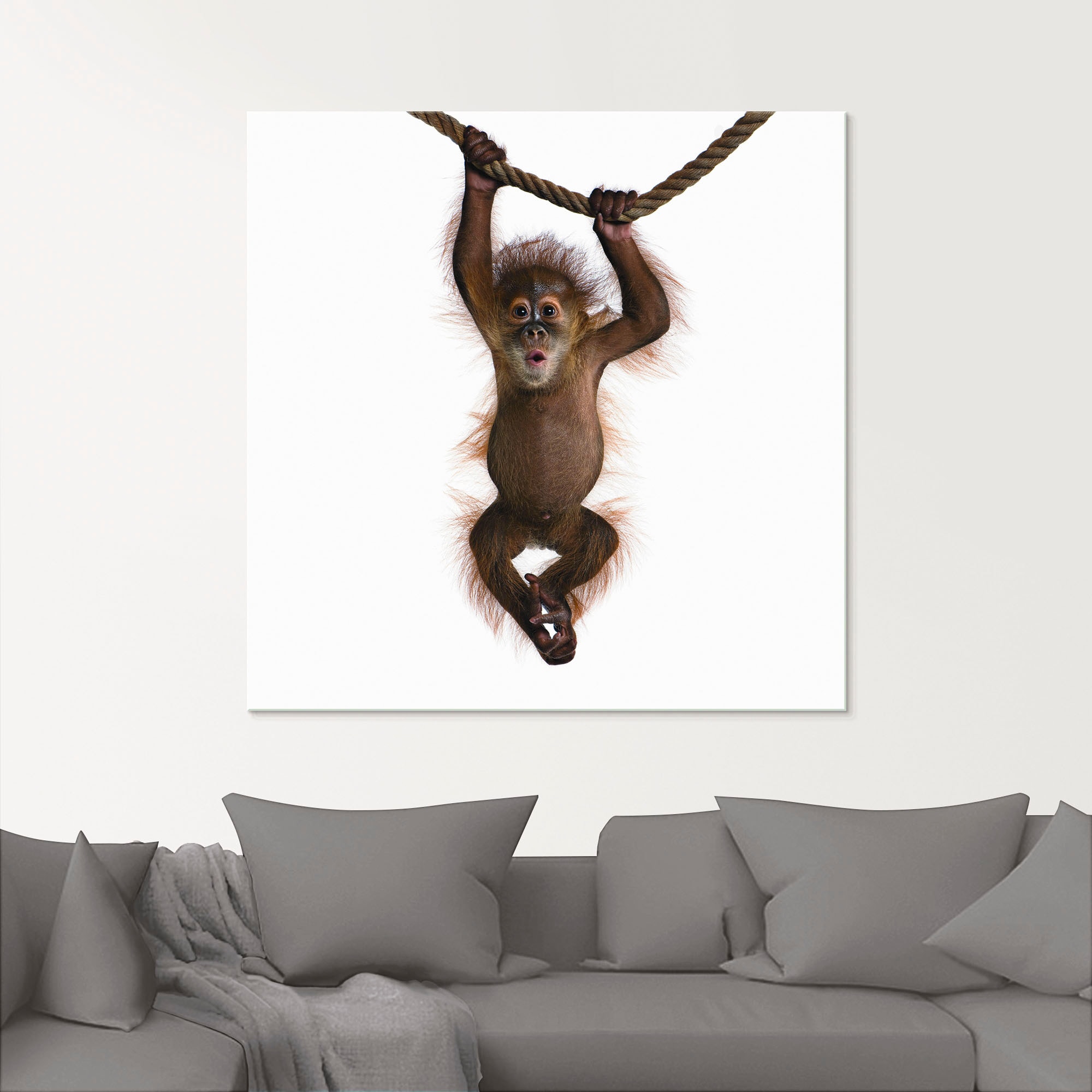 Artland Glasbild »Baby Orang Utan hängt an Seil II«, Wildtiere, (1 St.), in verschiedenen Größen