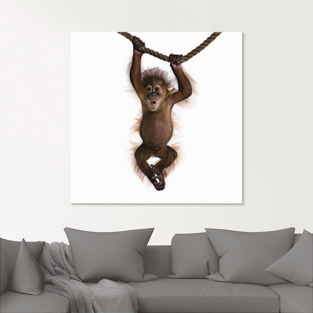 Artland Glasbild »Baby Orang Utan hängt an Seil II«, Wildtiere, (1 St.)