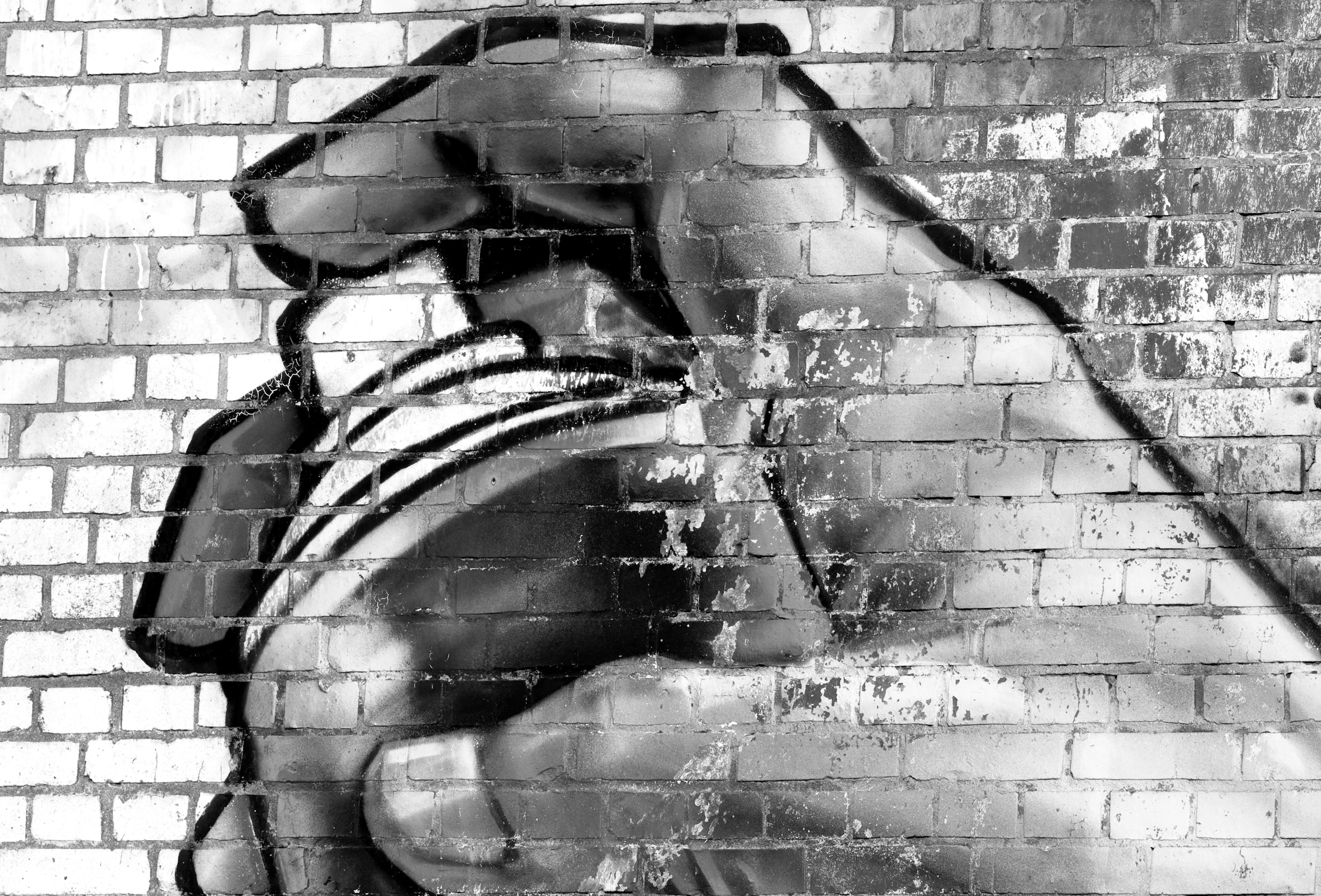 Papermoon Fototapete »Graffiti Schwarz Weiß«