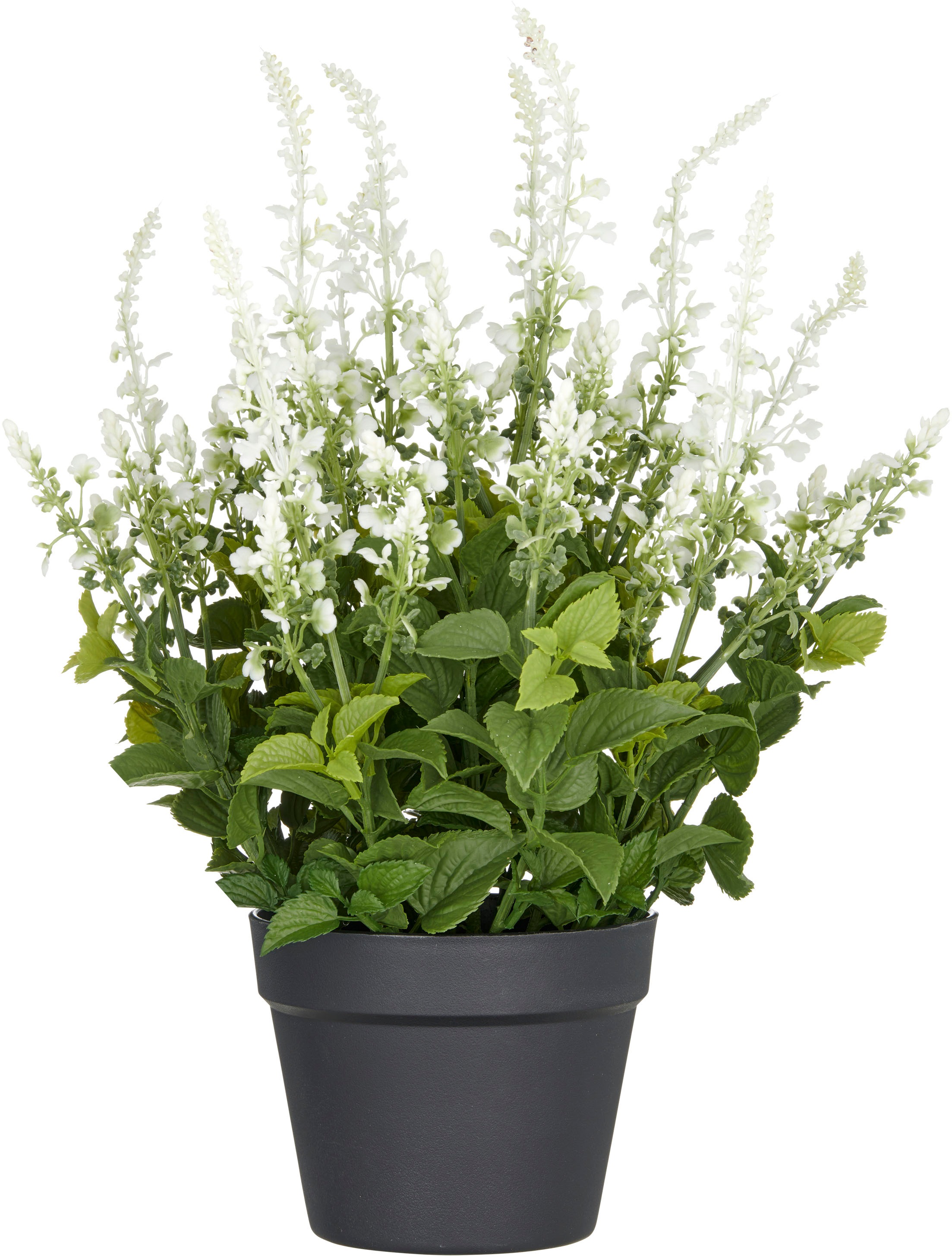 Creativ green Kunstpflanze "Salvia superba", in UV-beständiger Ausführung günstig online kaufen