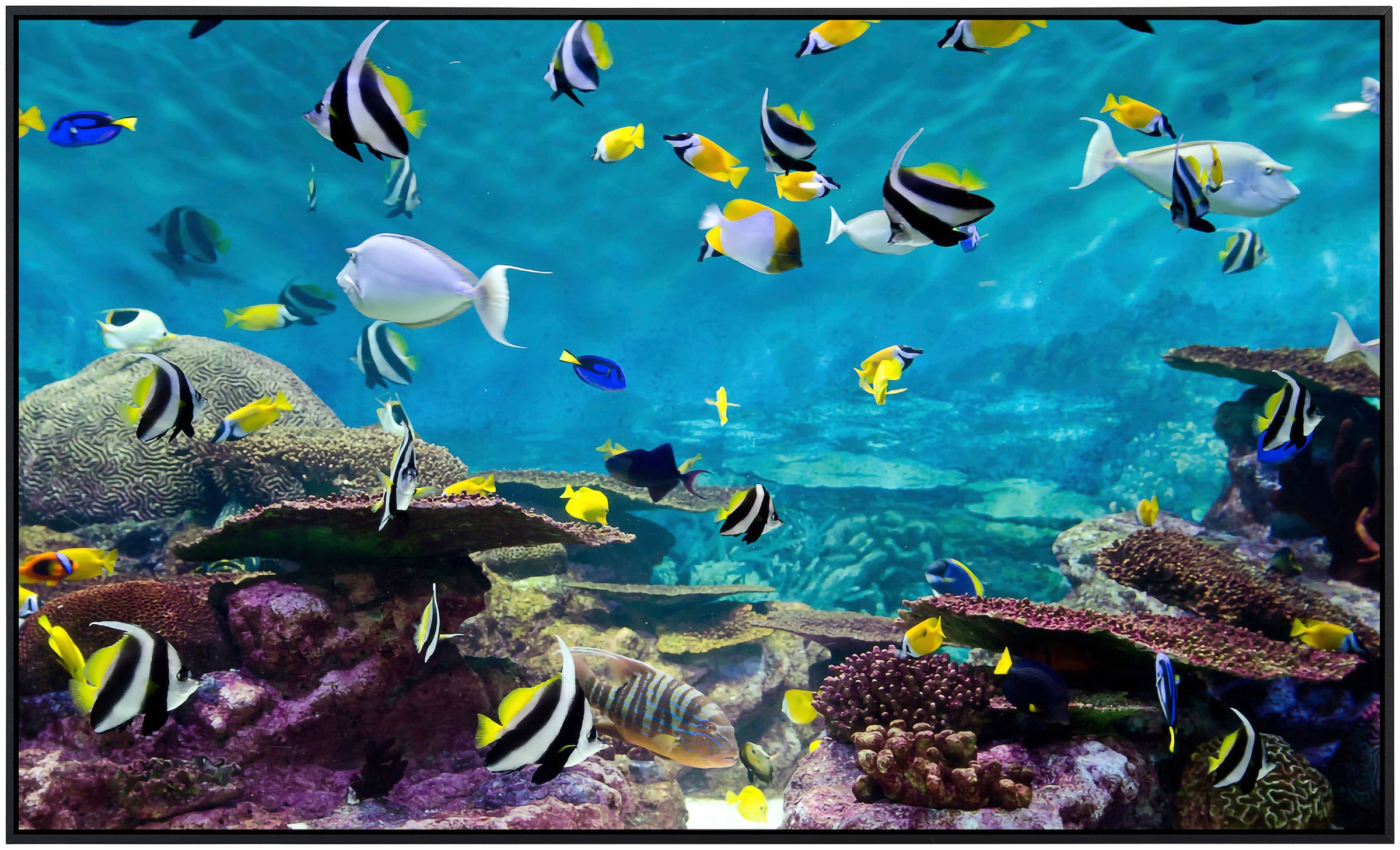 Papermoon Infrarotheizung »Fische«, sehr angenehme Strahlungswärme