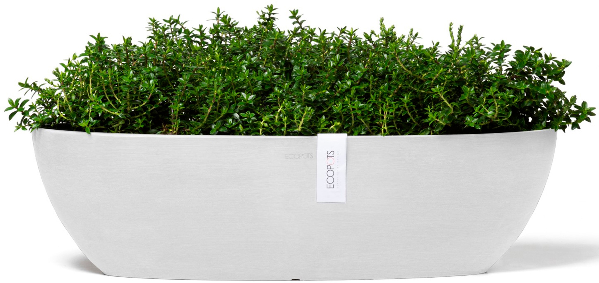 ECOPOTS Blumentopf »Sofia lang 56 Weiß«, für innen und außen: frostsicher, bruchsicher und lichtbeständig