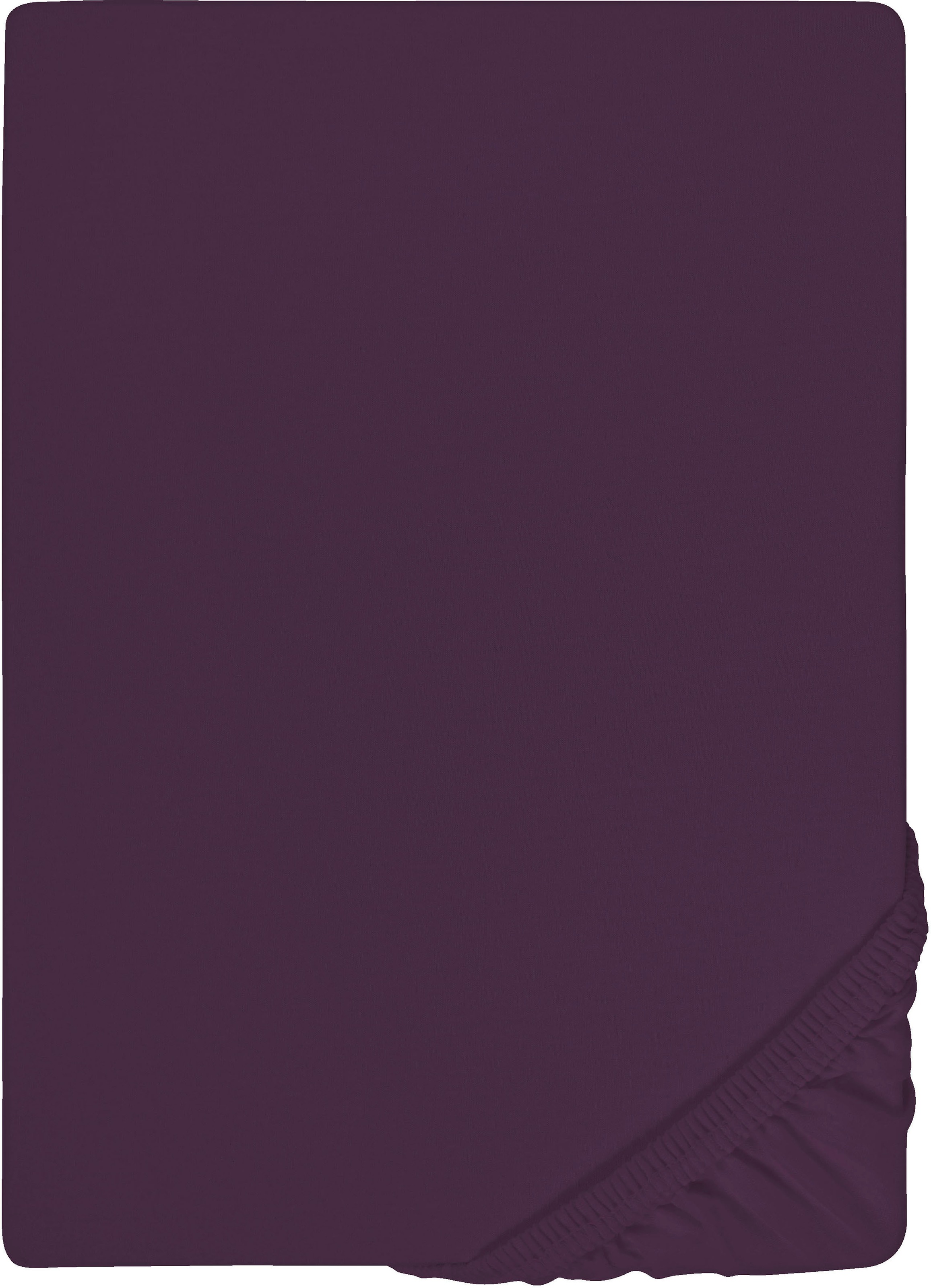 Biberna Spannbettlaken "0077866 Deluxe Jersey-Elastic Spannbetttuch 97% Baumwolle" Jersey mit Elasthan, Rundumgummi, bügelfrei, ab Größe 90 x 190 cm i