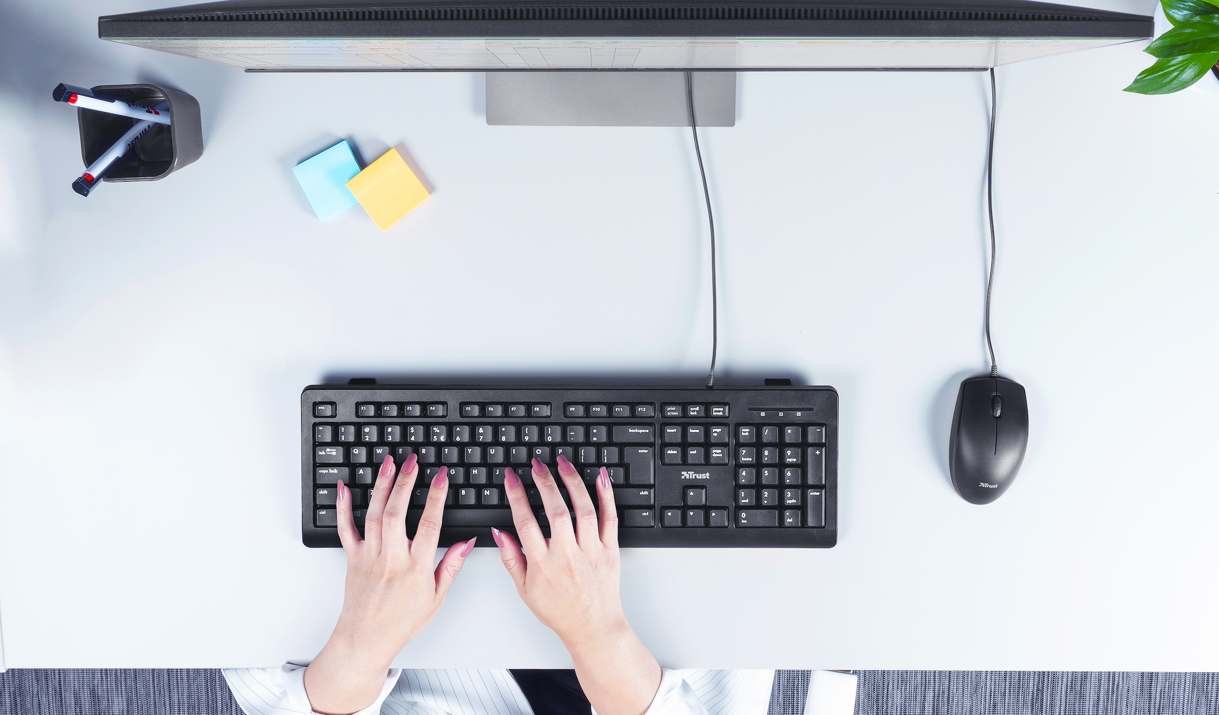 Trust Tastatur »TK-150« (USB-Anschluss | Windows-Sperrtaste | Ziffernblock)
