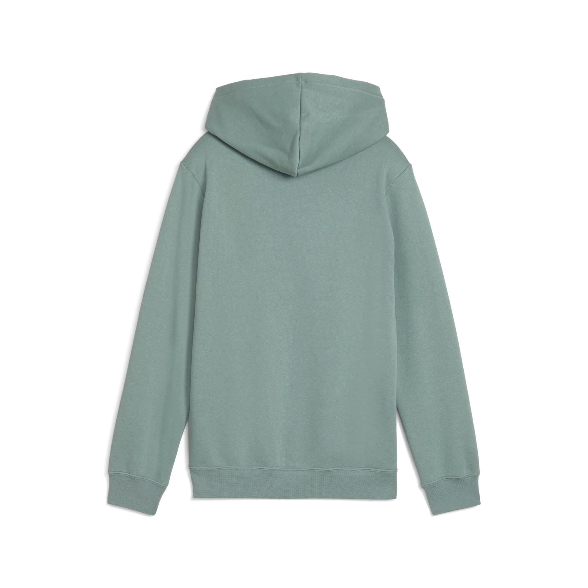 PUMA Kapuzensweatshirt »ESS NO. 1 LOGO HOODIE FL B«