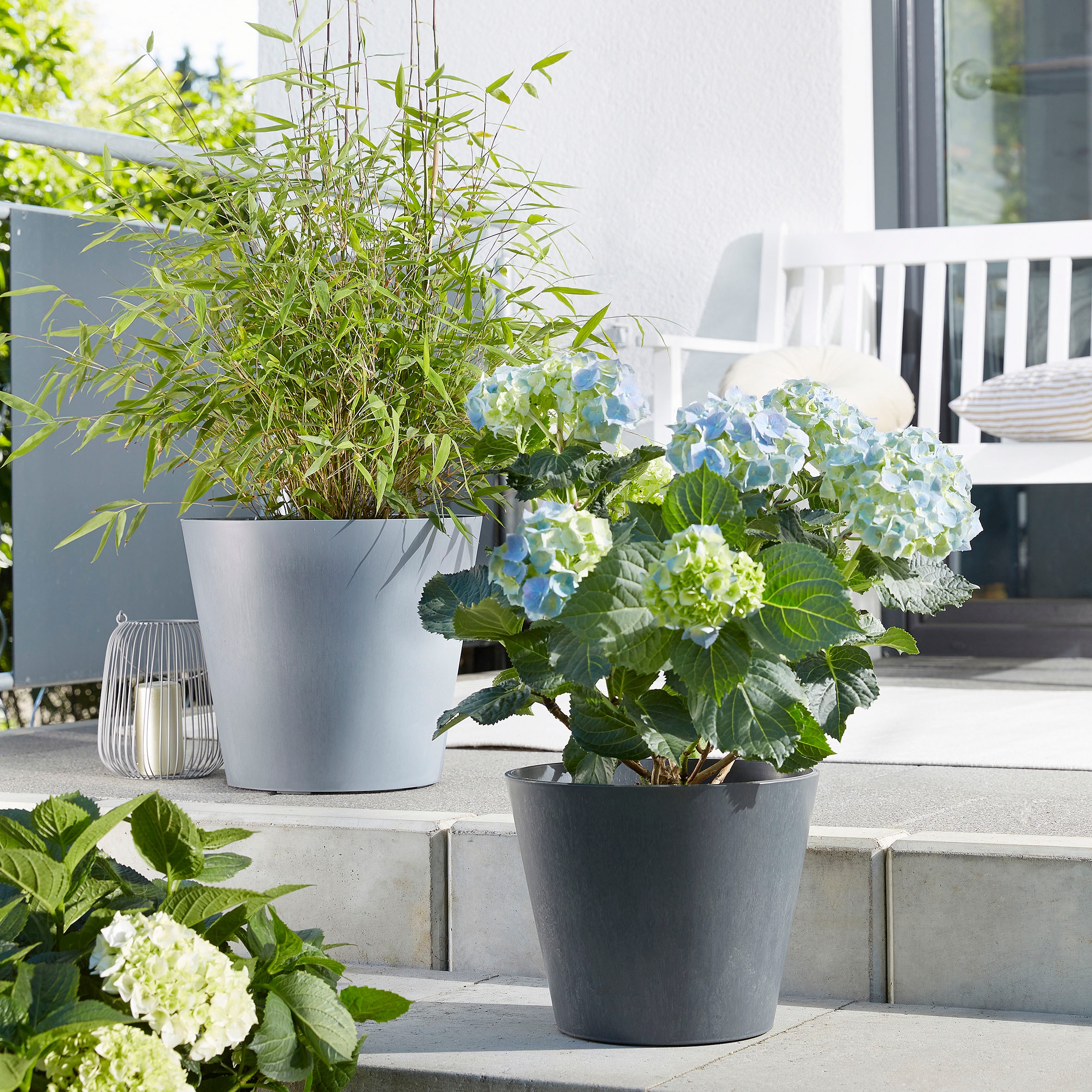 Scheurich Pflanzgefäß Purista+ Ø 30 cm Carbon mit Bewässerungseinsatz günstig online kaufen
