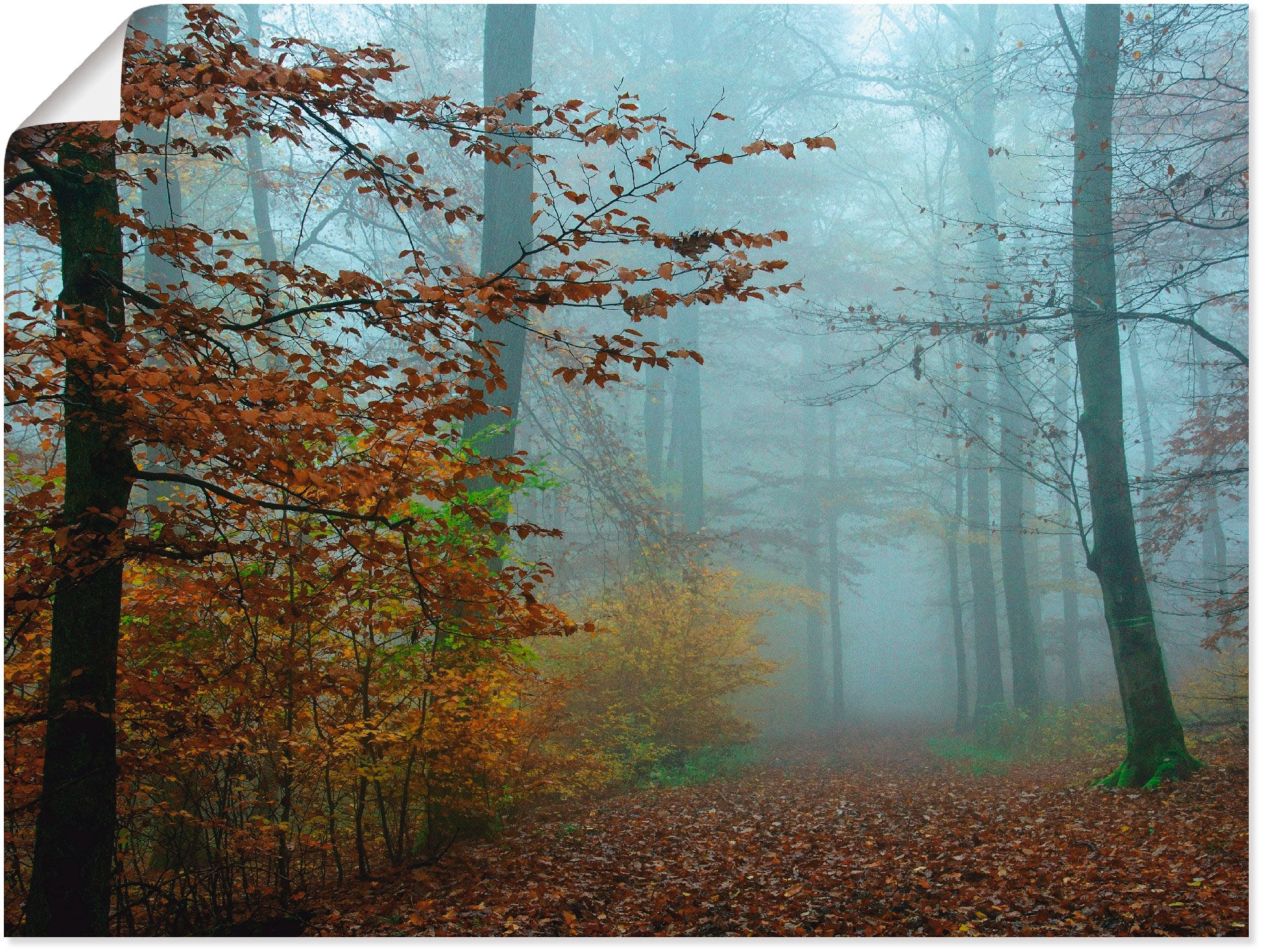 Artland Wandbild "Nebel im Herbstwald", Wald, (1 St.), als Leinwandbild, Poster, Wandaufkleber in verschied. Größen