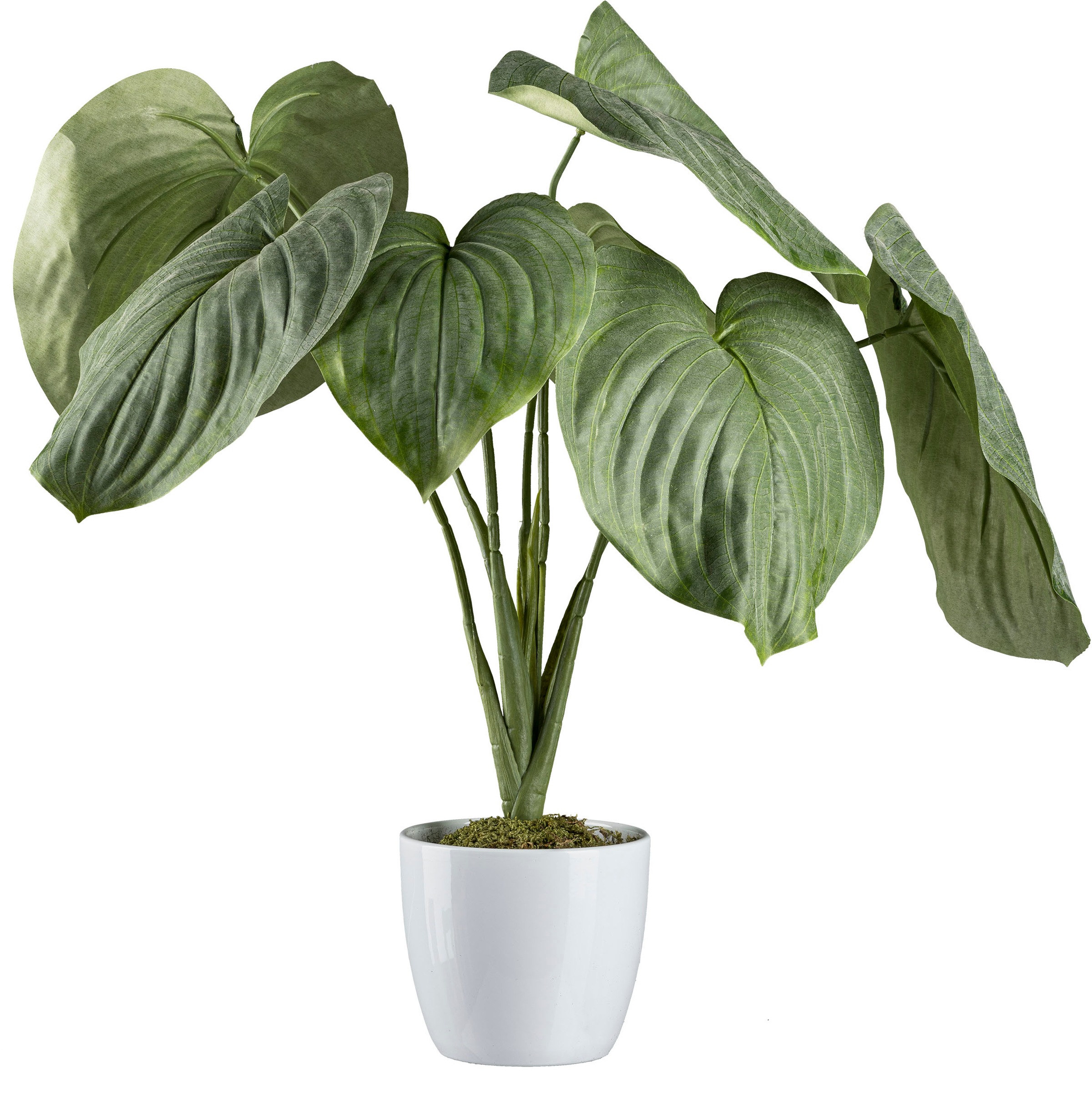 Creativ green Künstliche Zimmerpflanze »Hosta-Busch ...