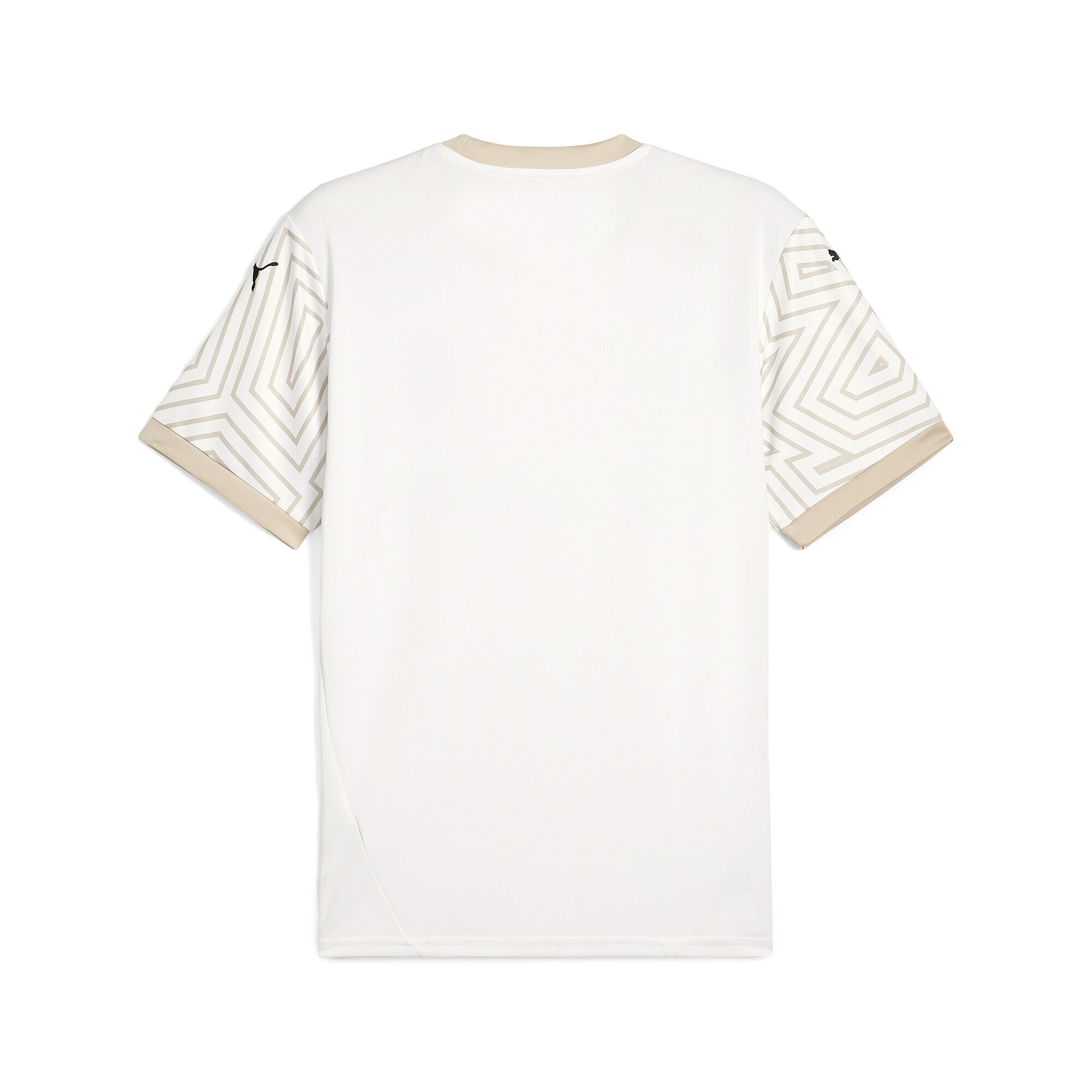 PUMA Trainingsshirt »Stade Reims 24/25 Ausweichtrikot Herren«