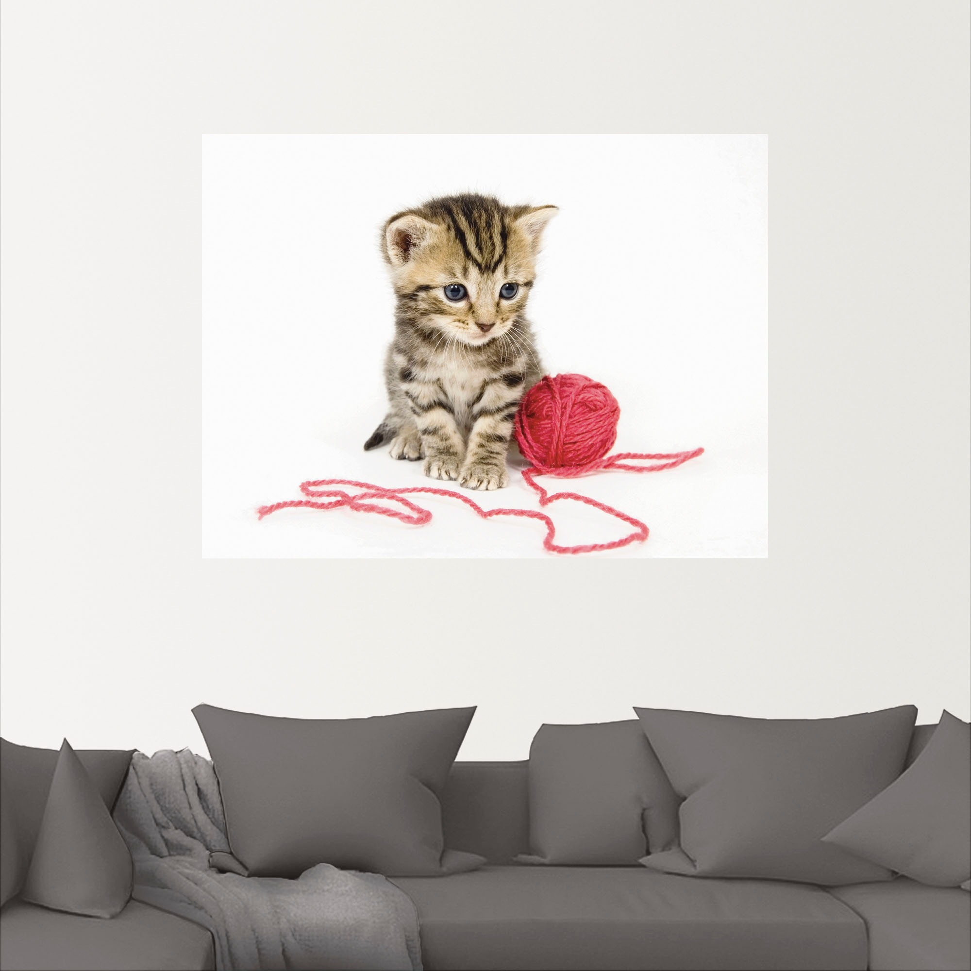 Artland Wandbild »Kätzchen mit rotem Garnball«, Haustiere, (1 St.), als Alubild, Outdoorbild, Poster, Wandaufkleber in verschied. Größen