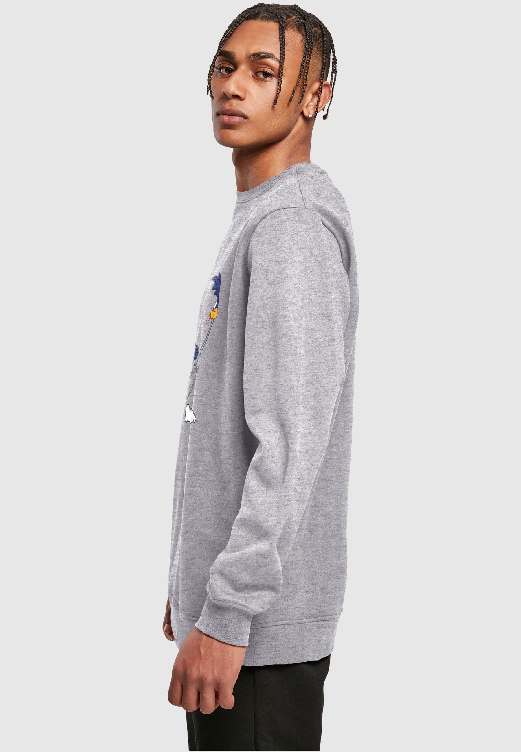 ABSOLUTE CULT Rundhalspullover »ABSOLUTE CULT Herren Looney Tunes - Road Runner Running Crewneck«, (1 tlg.)