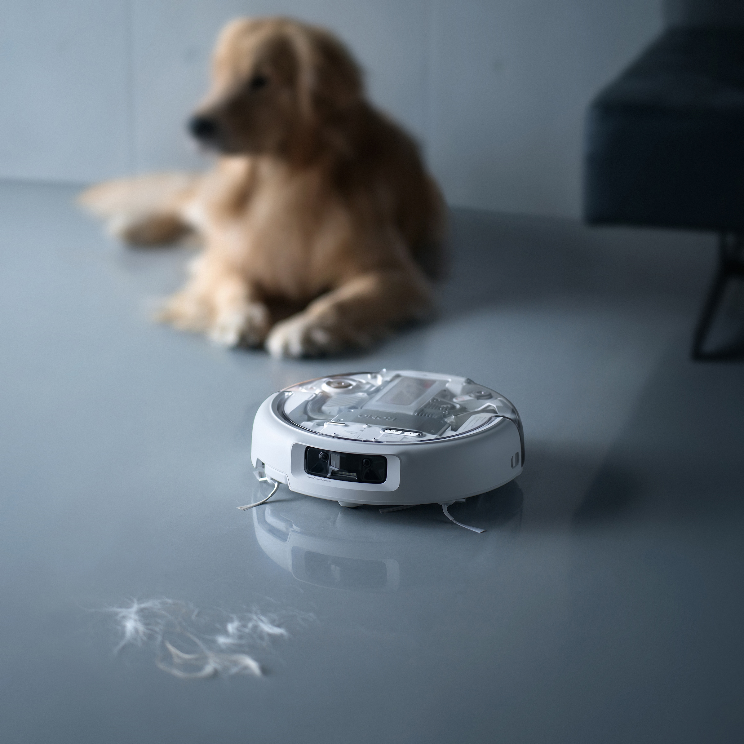 DJI Saugroboter »DJI ROMO P« Transparenter Saugroboter mit Absaugstation und App-Steuerung