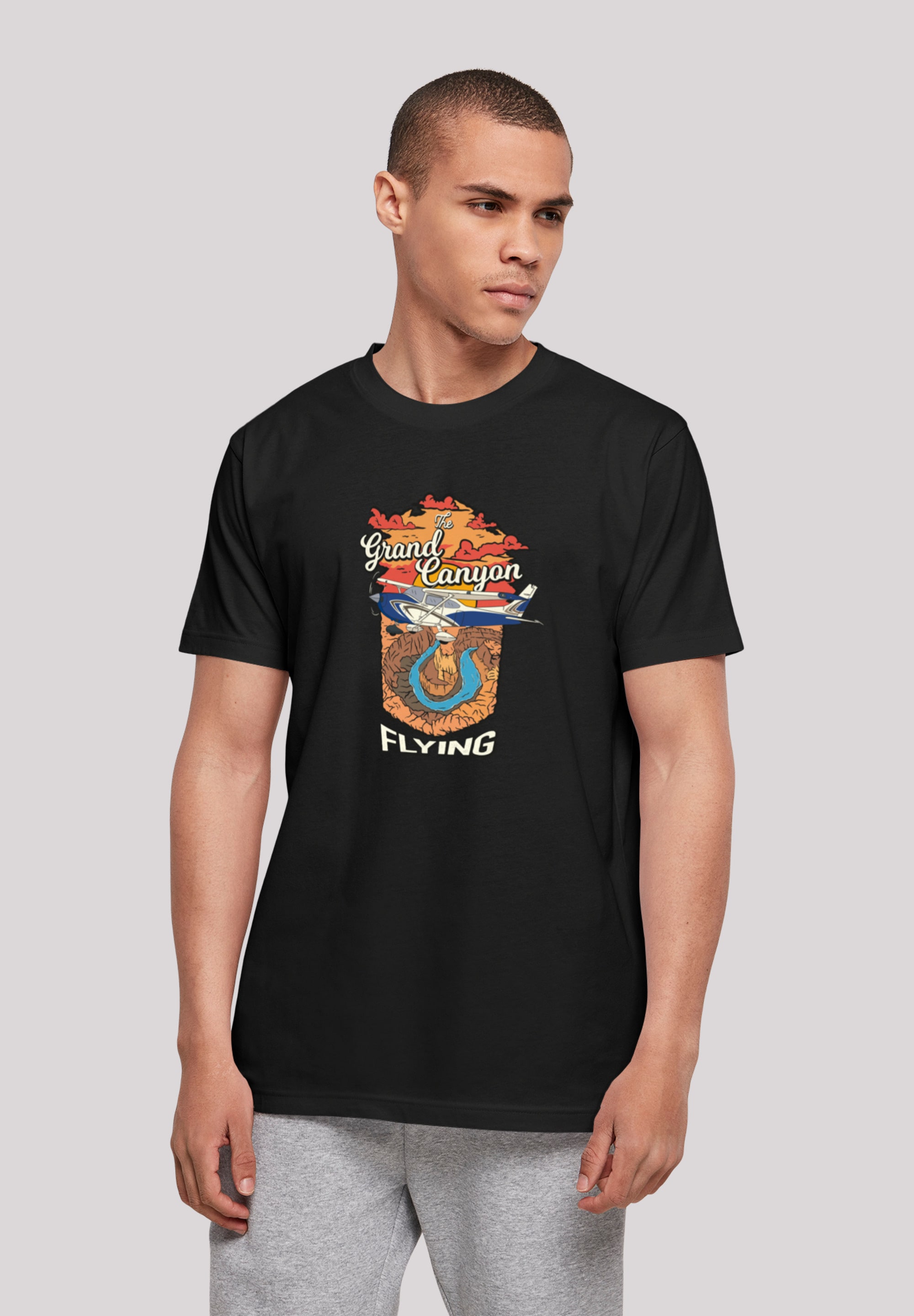 F4NT4STIC T-Shirt "Grand Canyon Flying", Print günstig online kaufen