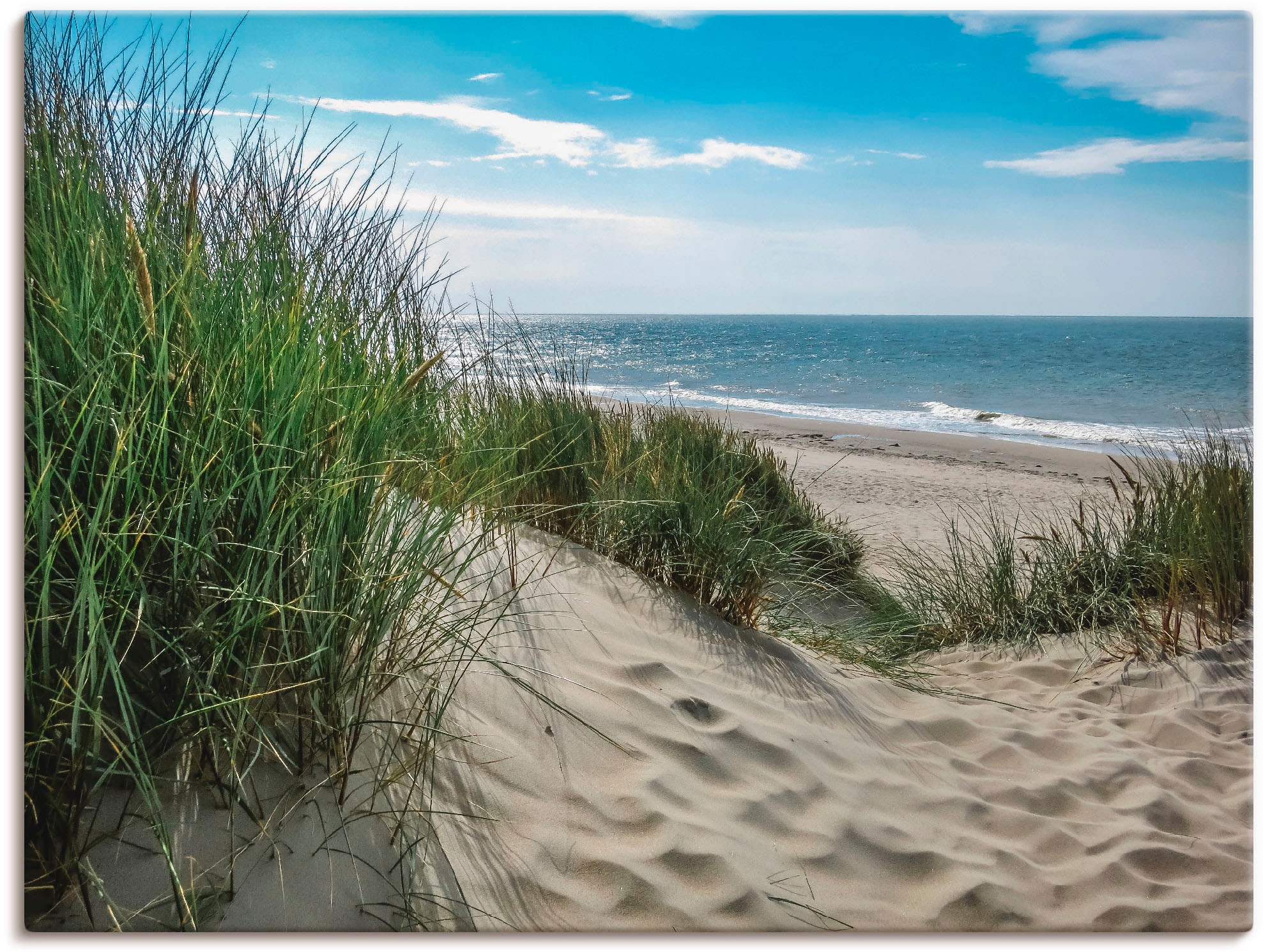 Artland Wandbild "Dünenlandschaft im Sommer an der Nordsee", Strand, (1 St.), als Alubild, Outdoorbild, Leinwandbild, Po