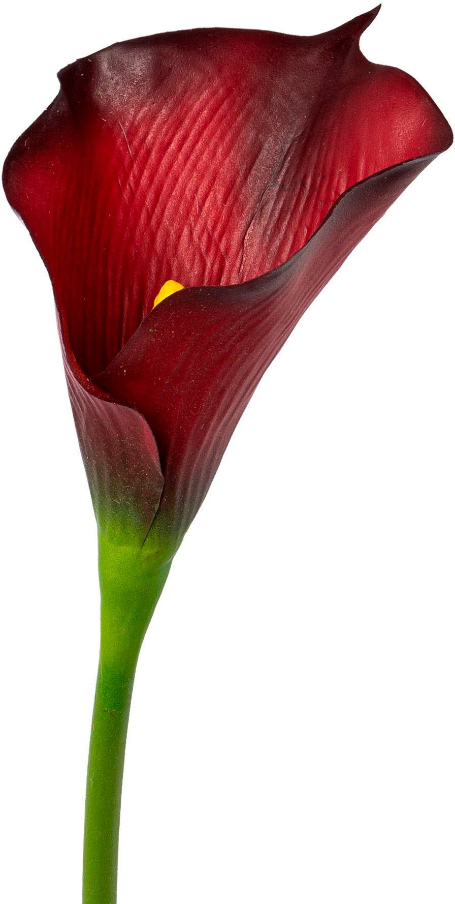 Creativ green Kunstblume "Calla" günstig online kaufen