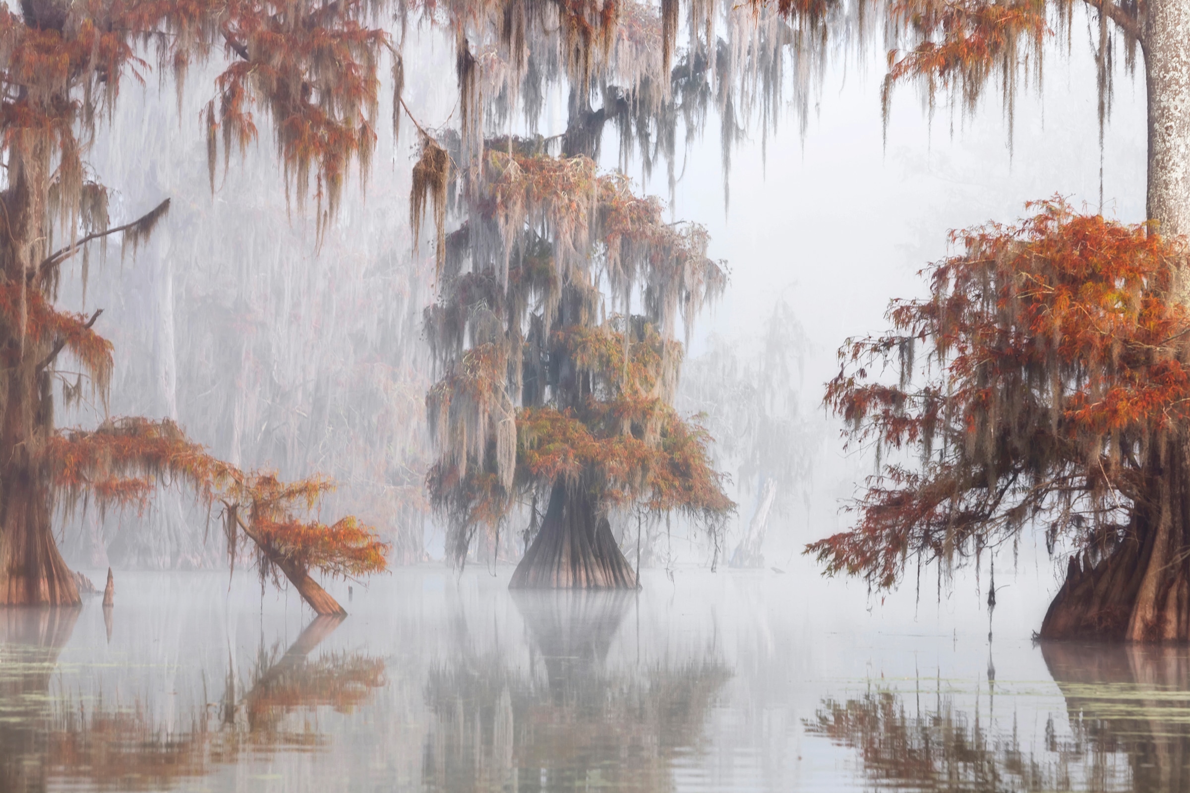 Papermoon Fototapete "Photo-Art ROBERTO MARCHEGIANI, MYSTY BAYOU"
