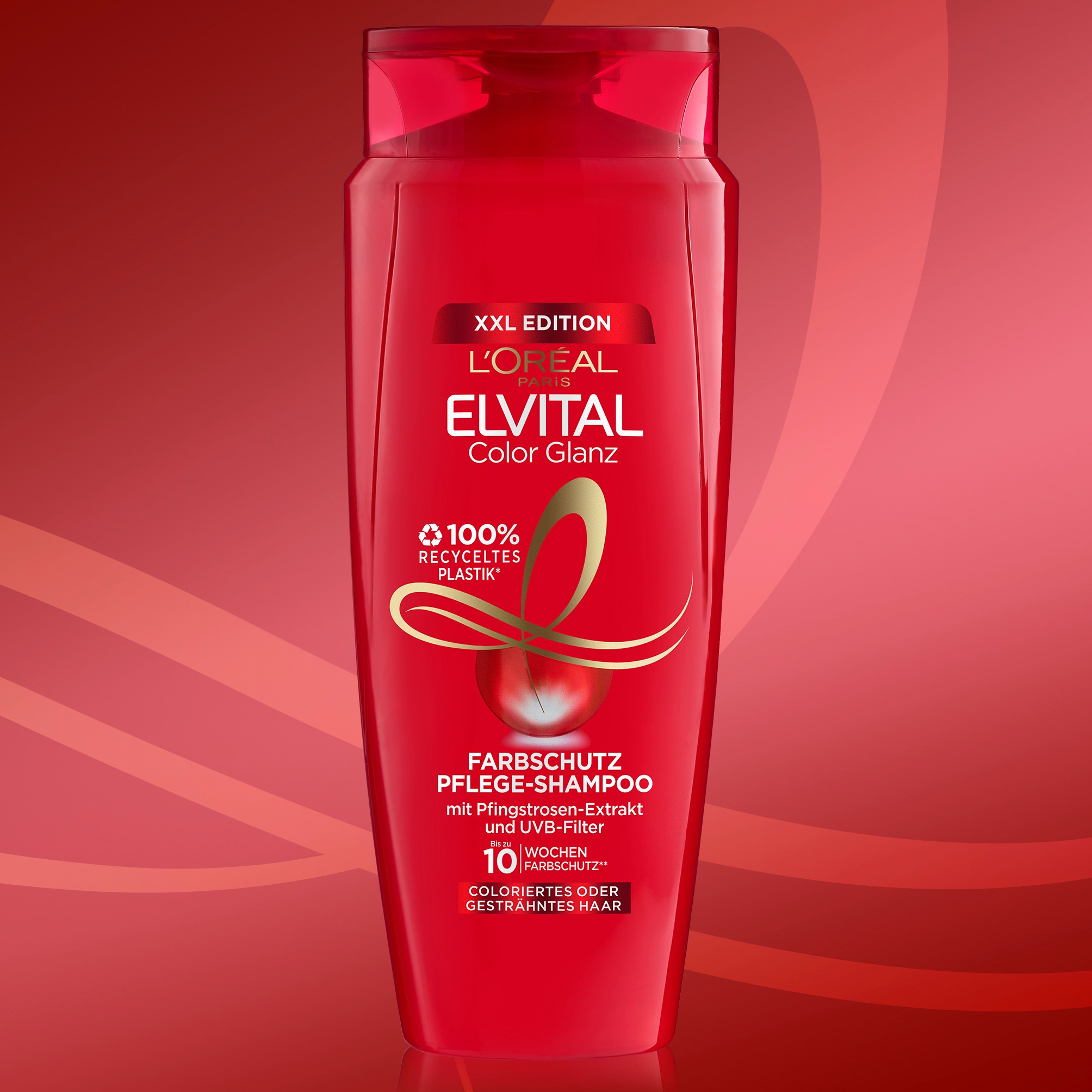 L'ORÉAL PARIS Haarshampoo »Elvital Color Glanz Shampoo«